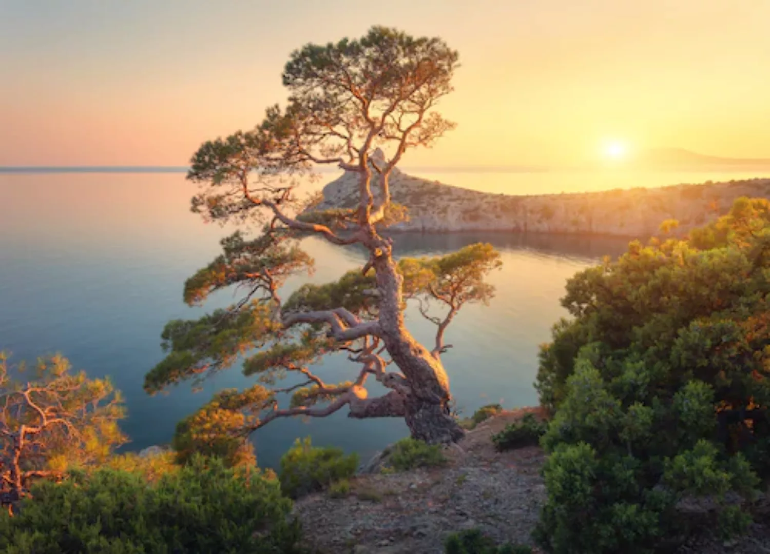 Papermoon Fototapete »Tree Mountain Sunset« günstig online kaufen