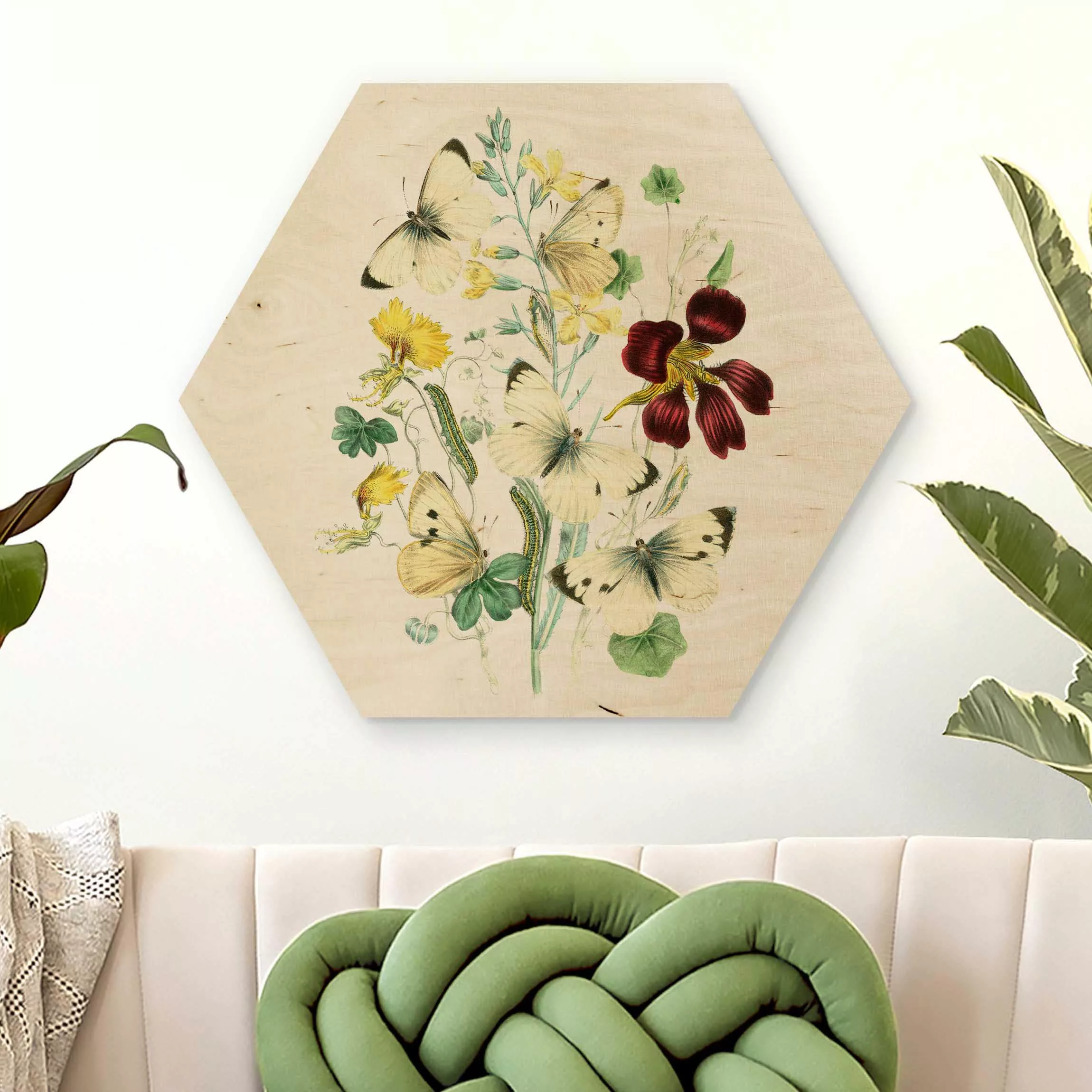 Hexagon-Holzbild Blumen Britische Schmetterlinge II günstig online kaufen