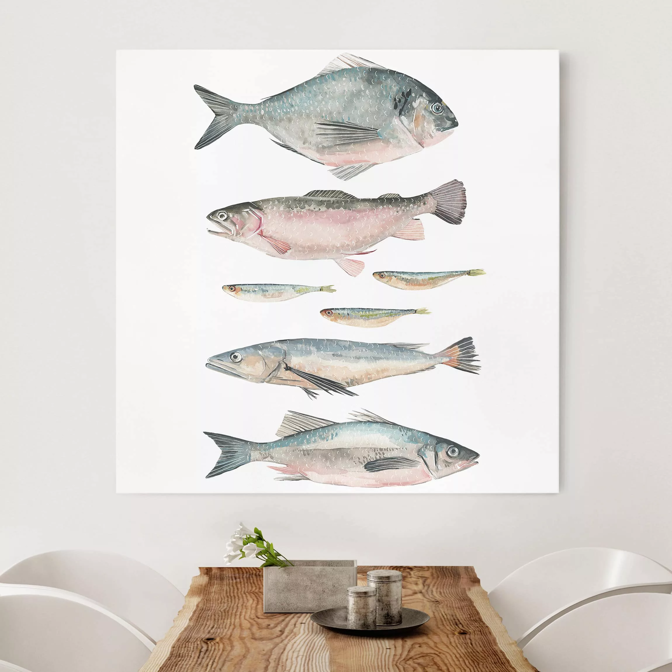 Leinwandbild Tiere - Quadrat Sieben Fische in Aquarell II günstig online kaufen