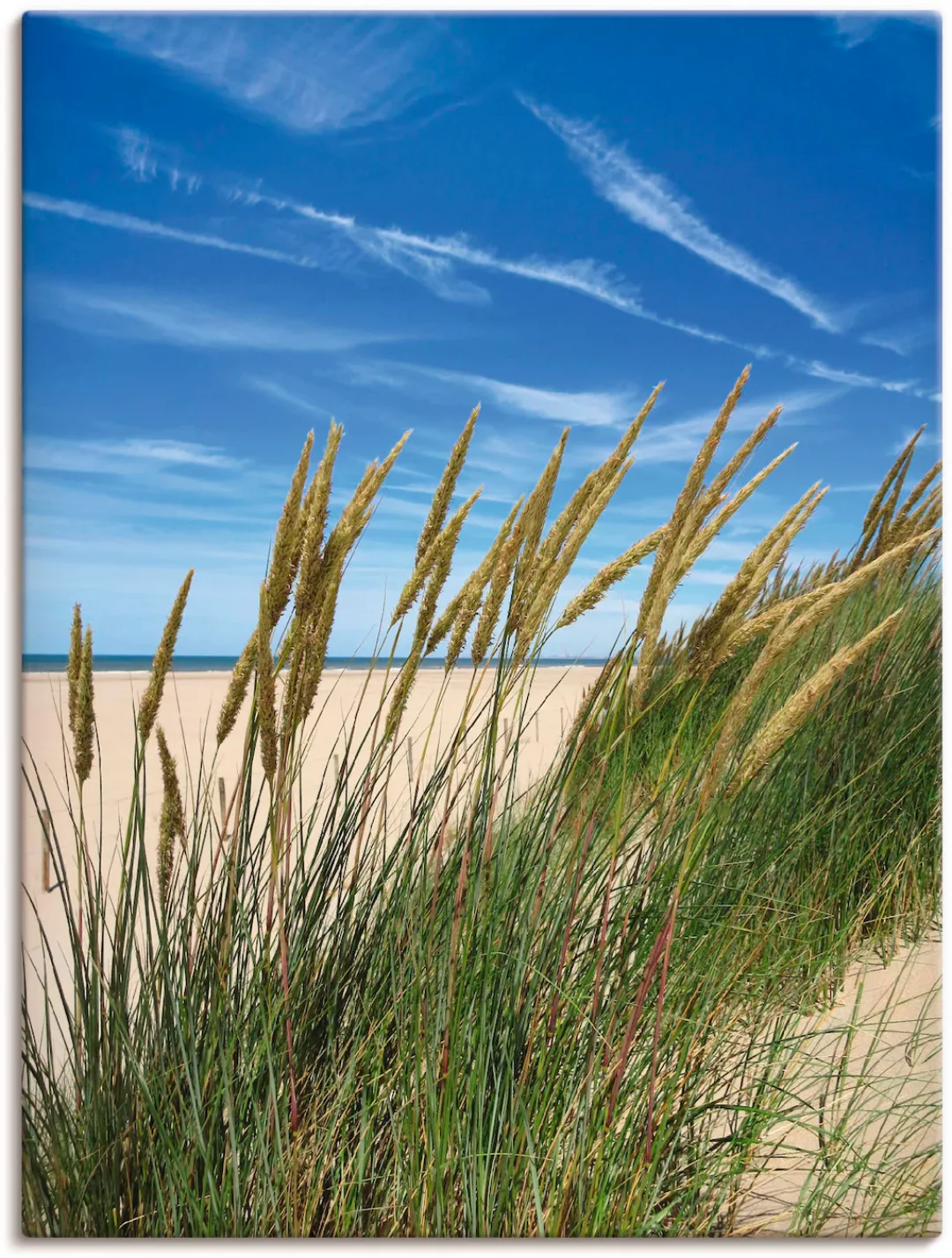 Artland Wandbild "Blühendes Strandgras", Strand, (1 St.), als Leinwandbild, günstig online kaufen