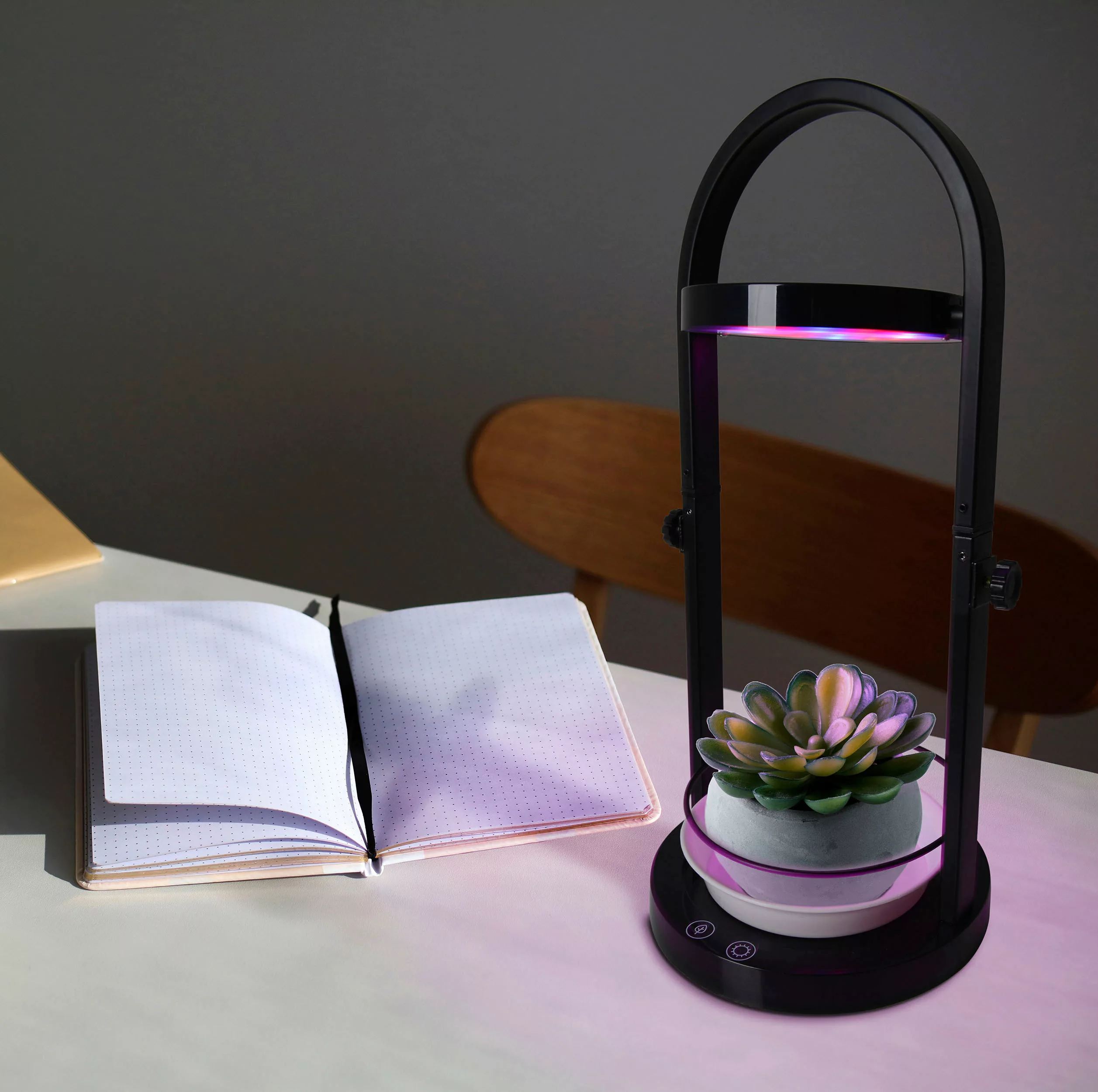 Näve LED Pflanzen-Leuchte, H53,5cm schwarz günstig online kaufen