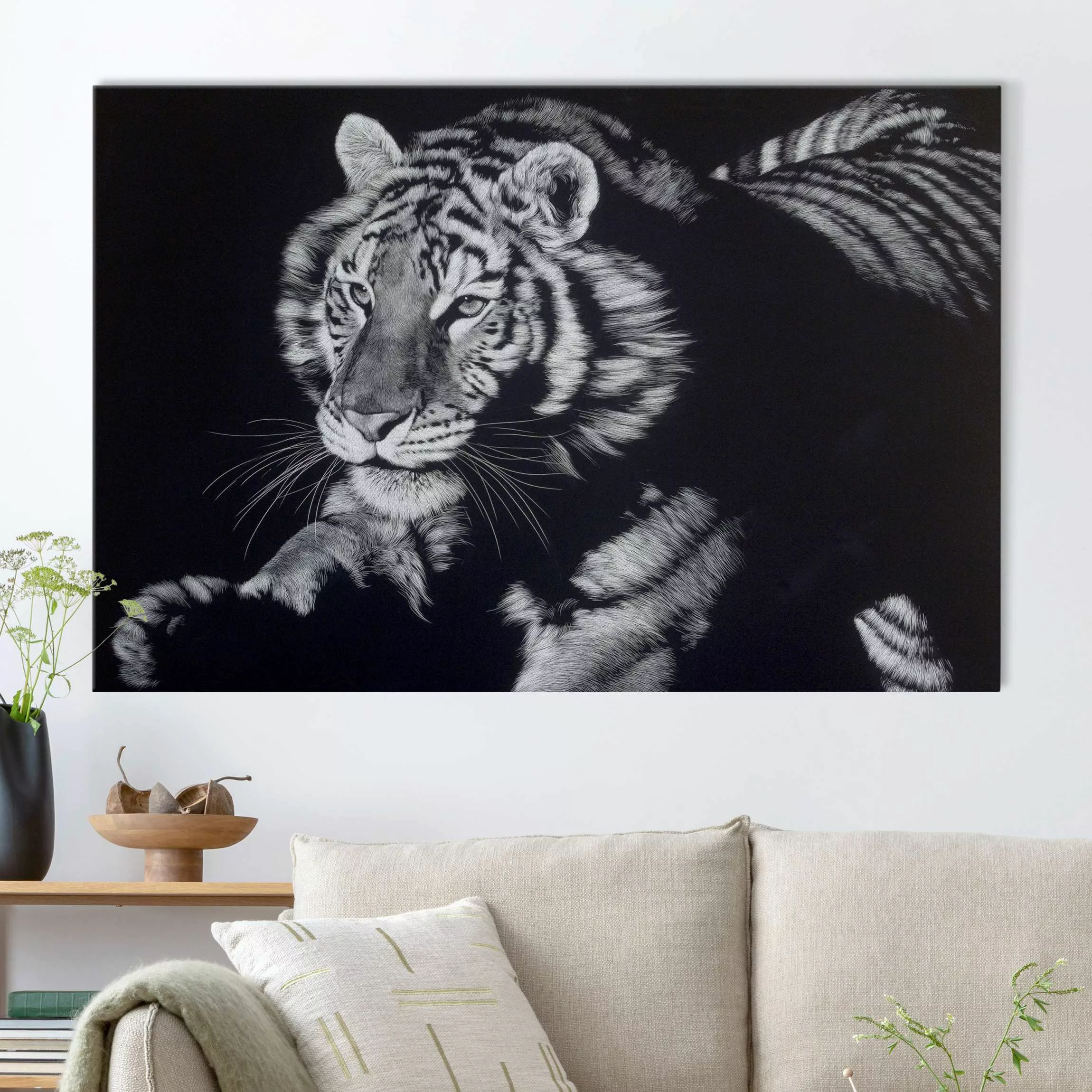 Akustikbild Tiger im Sonnenlicht vor Schwarz günstig online kaufen