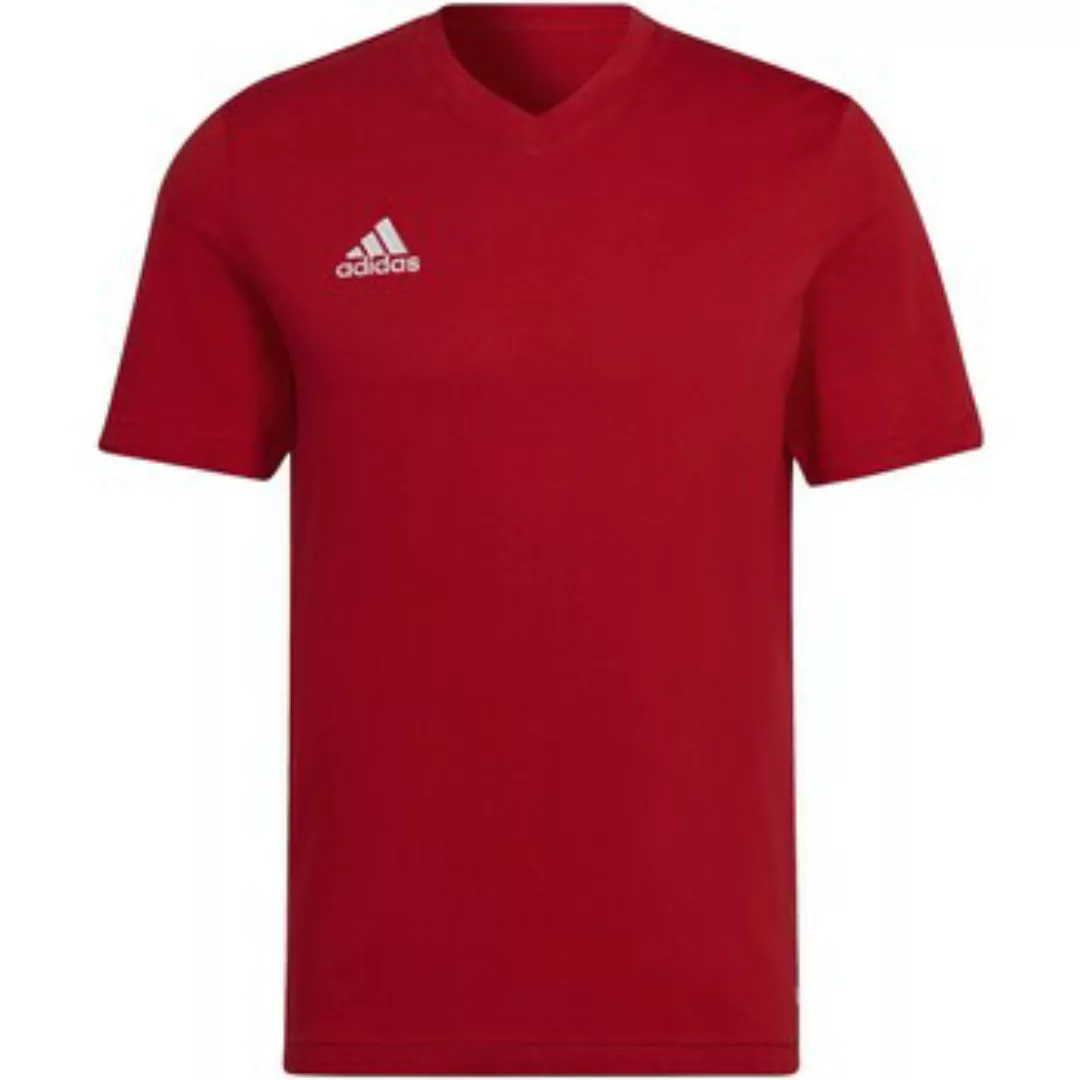 adidas  T-Shirts & Poloshirts Ent22 Tee günstig online kaufen