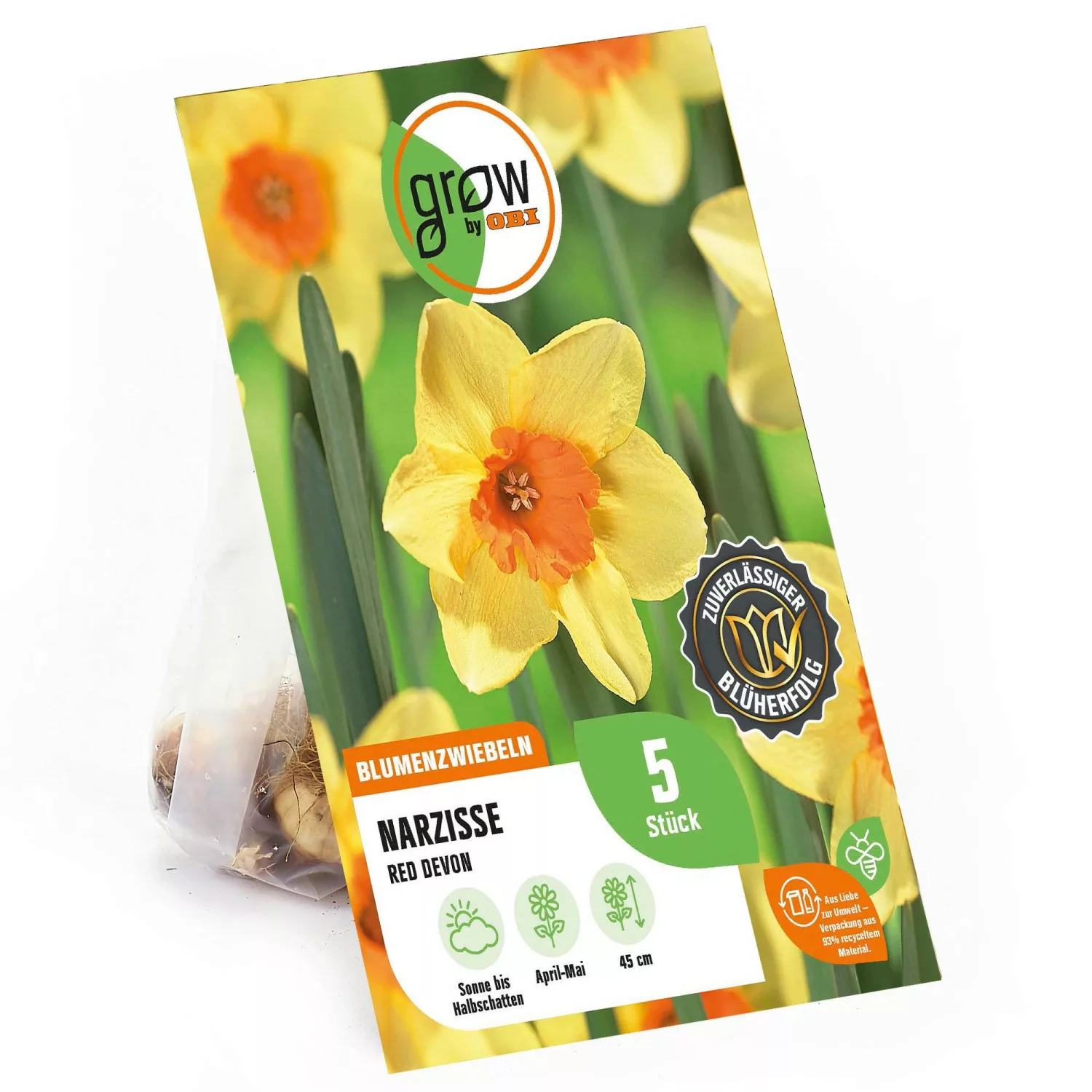 GROW by OBI Großkronige Narzisse Red Devon Gelb-Orange 45 cm Narcissus günstig online kaufen