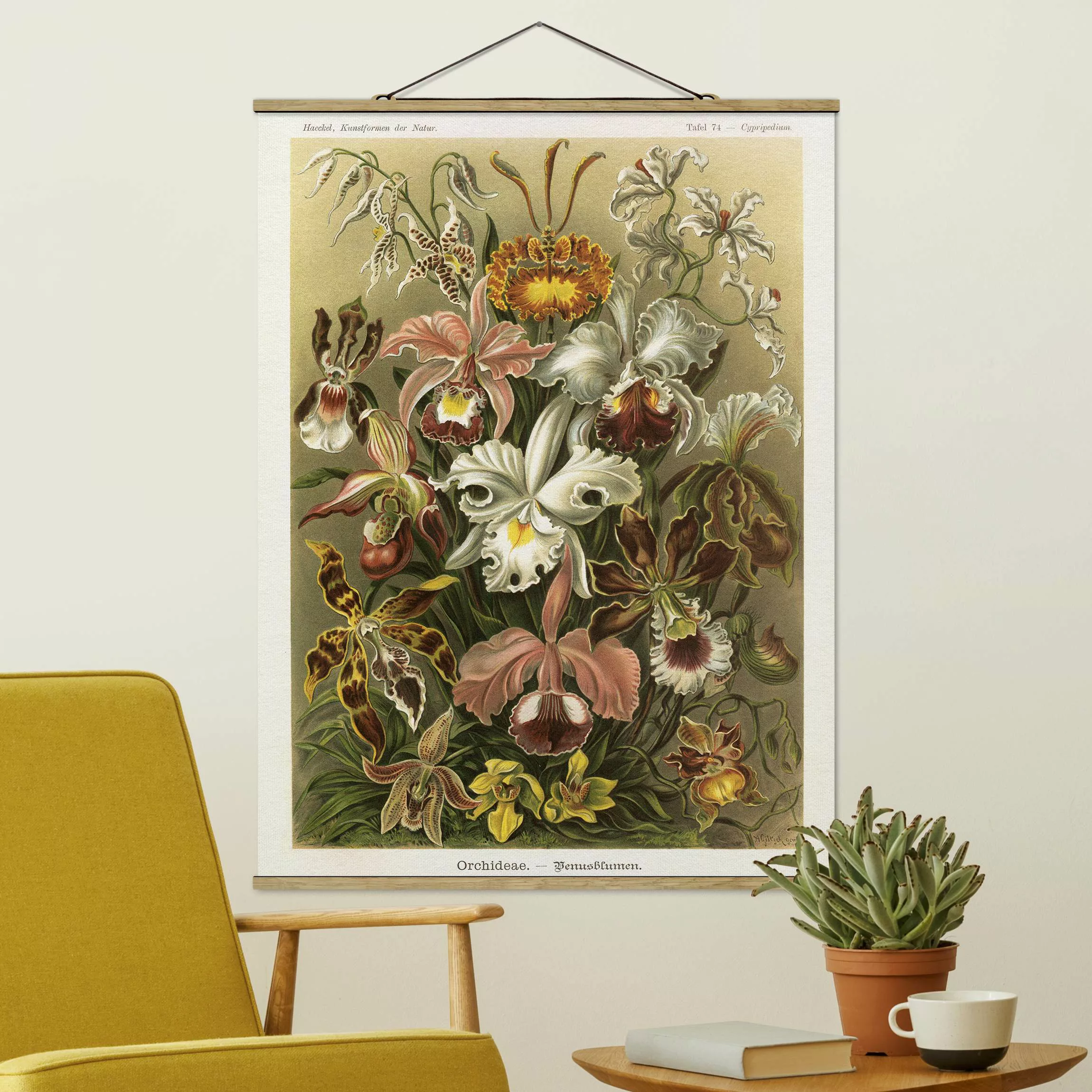 Stoffbild Blumen mit Posterleisten - Hochformat Vintage Lehrtafel Orchidee günstig online kaufen