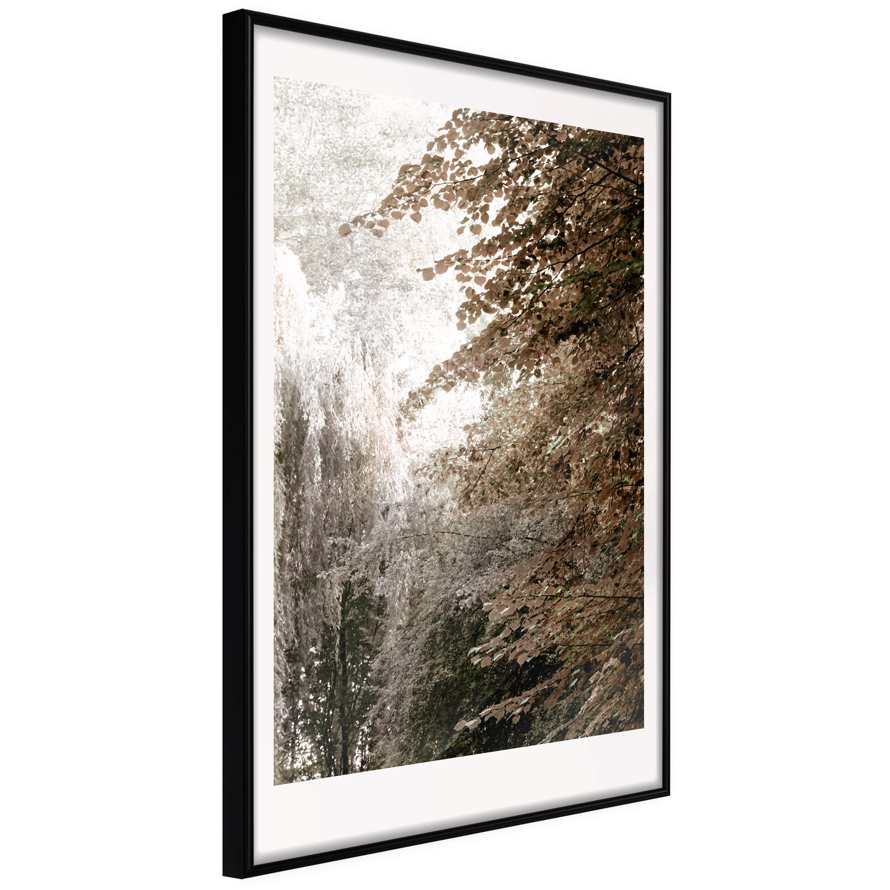 Poster - Pond In The Park günstig online kaufen