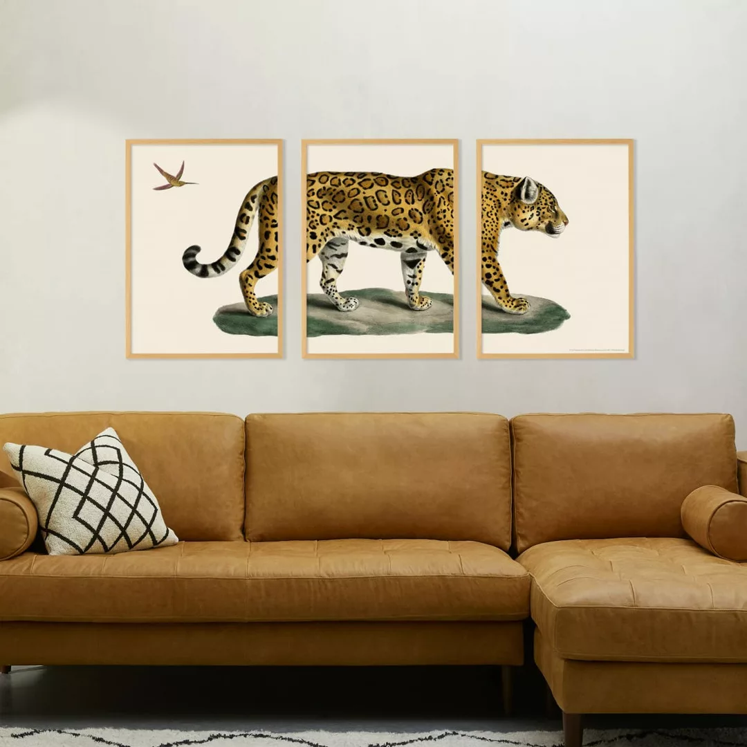 3 x Natural History Museum 'Vintage Jaguar' gerahmte Kunstdrucke (verschied günstig online kaufen