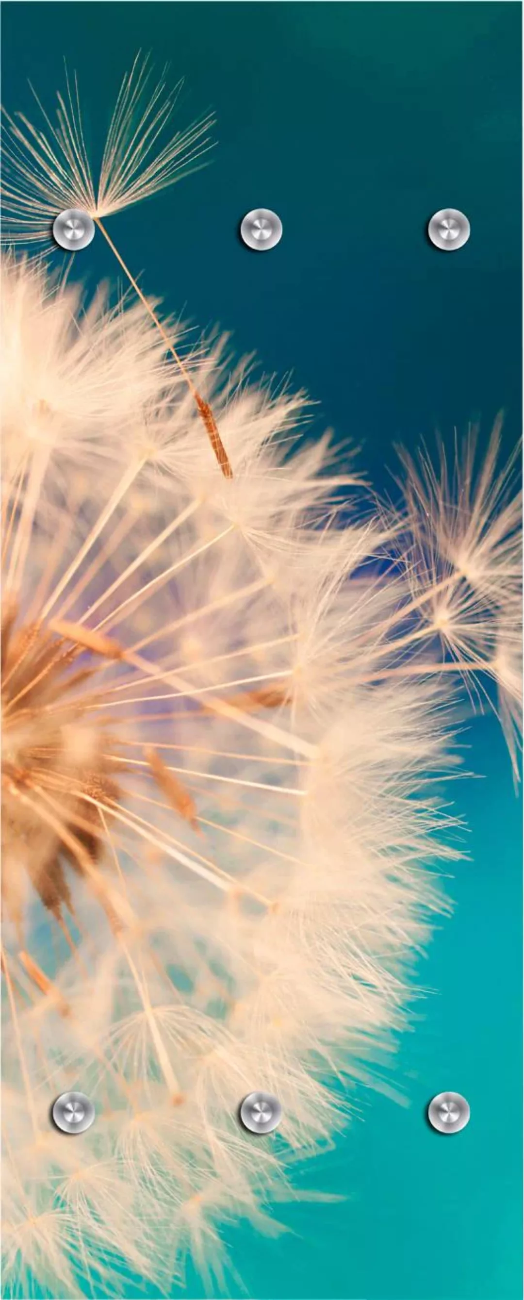 queence Garderobenleiste "Pusteblume in groß", mit 6 Haken, 50 x 120 cm günstig online kaufen