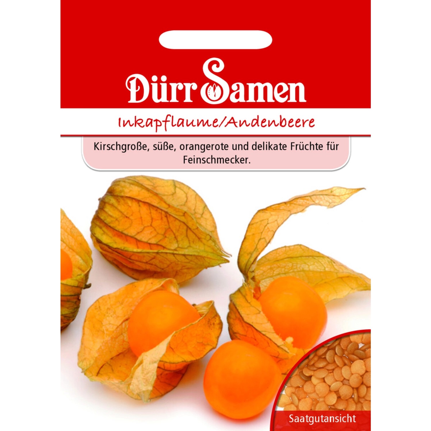 Dürr Samen Inkapflaume Andenbeere Saatgut günstig online kaufen