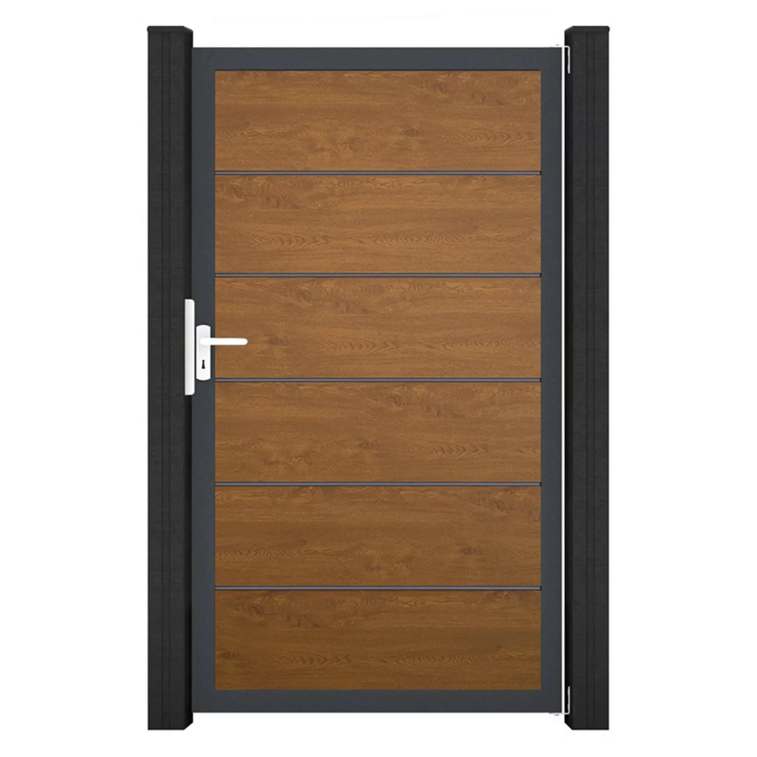 GroJa Tor 1-flg. Basicline Premium 100 cm x 180 cm Golden Oak Rahmen DB703 günstig online kaufen