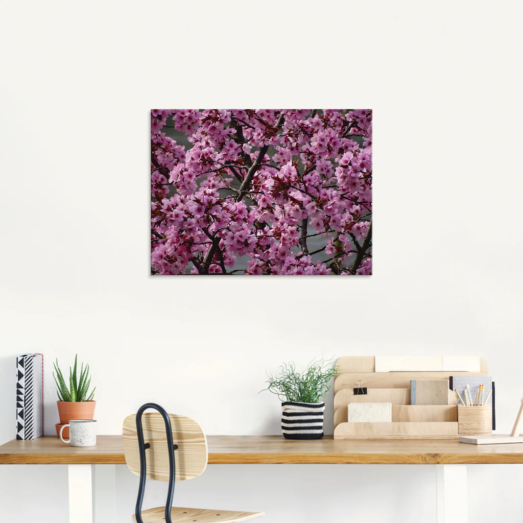 Artland Glasbild "Japanische Zierkirschen Blüte", Bäume, (1 St.), in versch günstig online kaufen