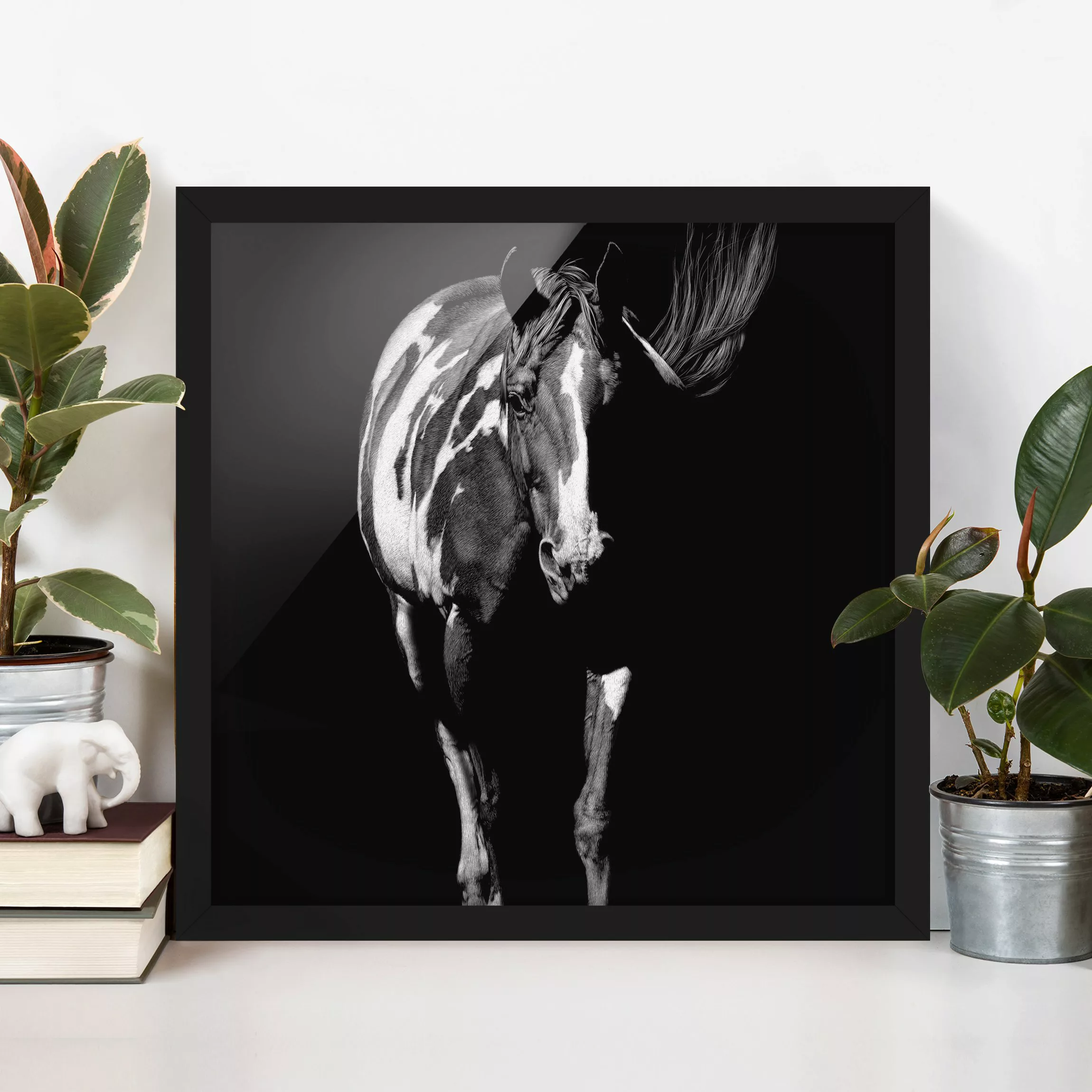 Bild mit Rahmen Schwarz-Weiß - Quadrat Pferd vor Schwarz günstig online kaufen