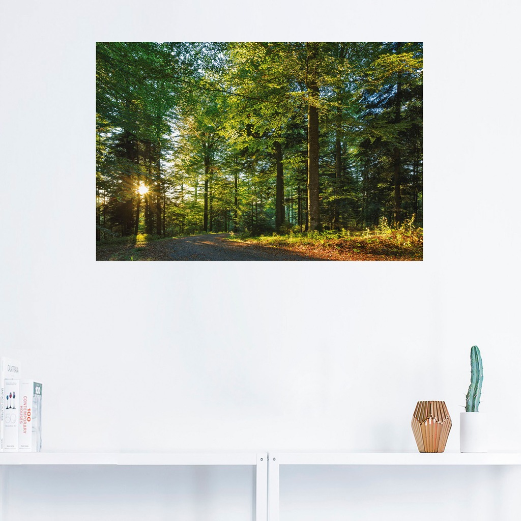 Artland Wandbild »Waldweg im Romantischen Schwarzwald«, Waldbilder, (1 St.) günstig online kaufen