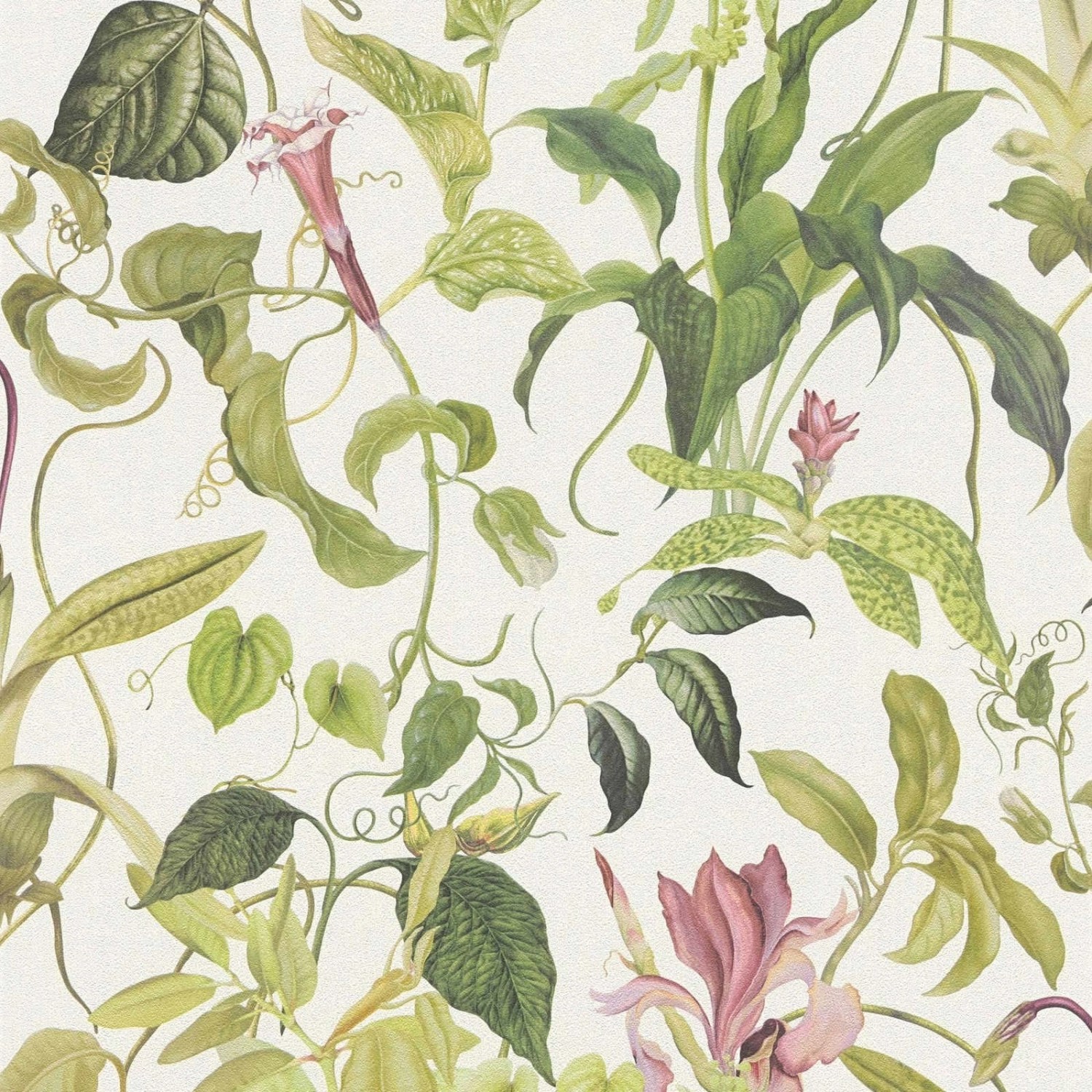 Bricoflor Ranken Tapete Grün Rosa Botanik Vliestapete mit Blätter Design in günstig online kaufen