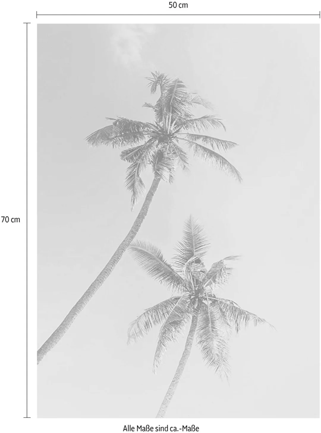Komar Poster "Miami Palms", Pflanzen-Blätter, (1 St.), Kinderzimmer, Schlaf günstig online kaufen