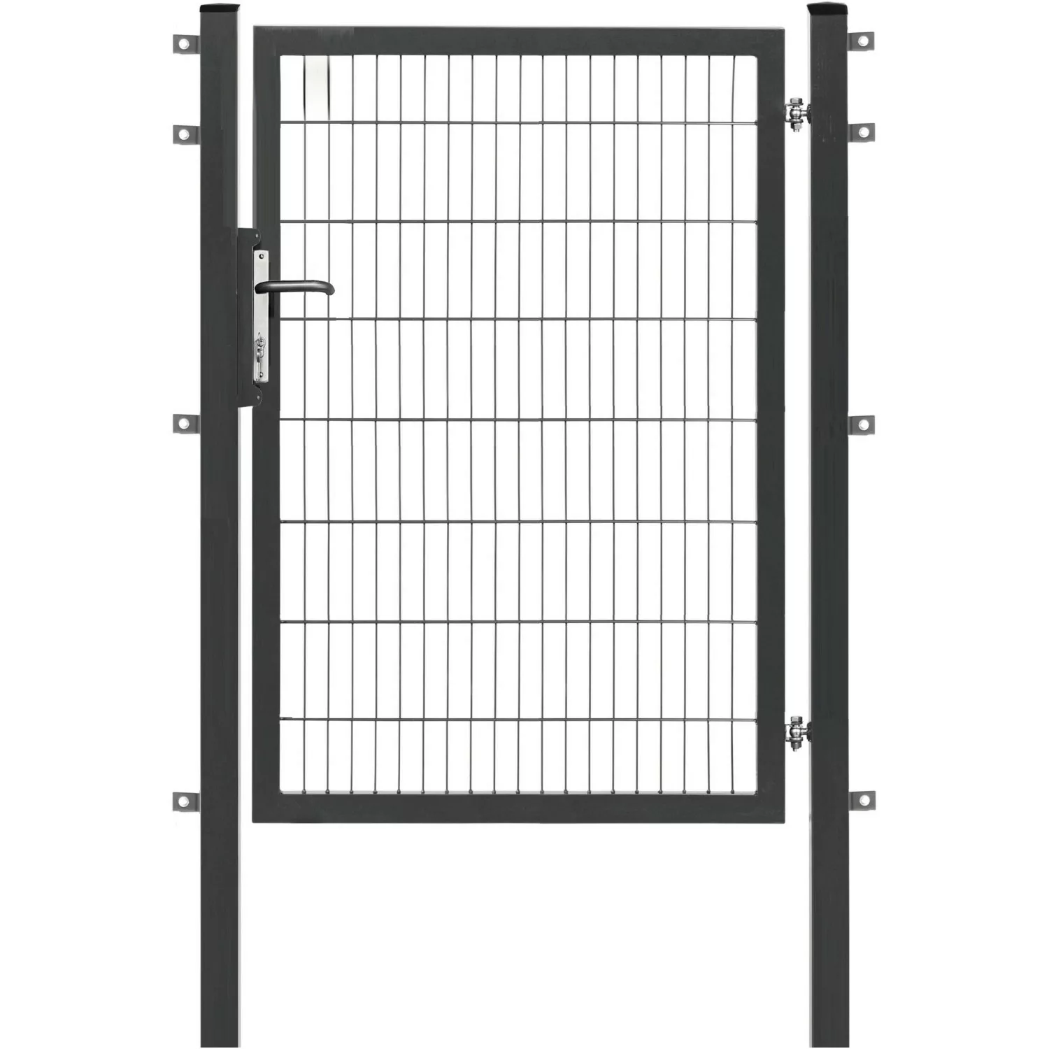 Floraworld Einzeltor Premium Doppelstabmattenfüllung Anthrazit 160 cm x 120 günstig online kaufen