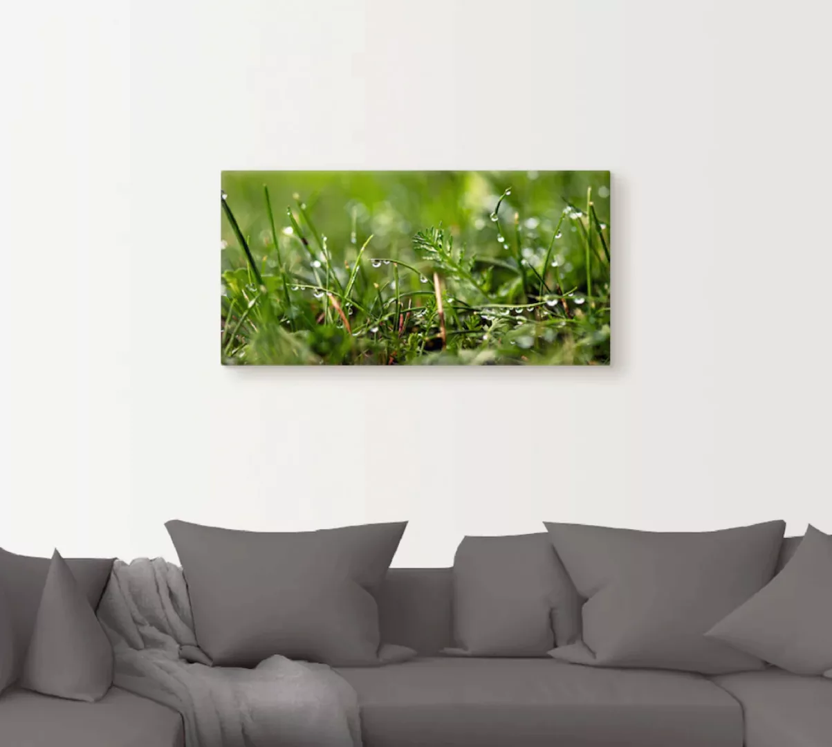 Artland Wandbild "Tautropfen", Gräser, (1 St.), als Alubild, Outdoorbild, L günstig online kaufen