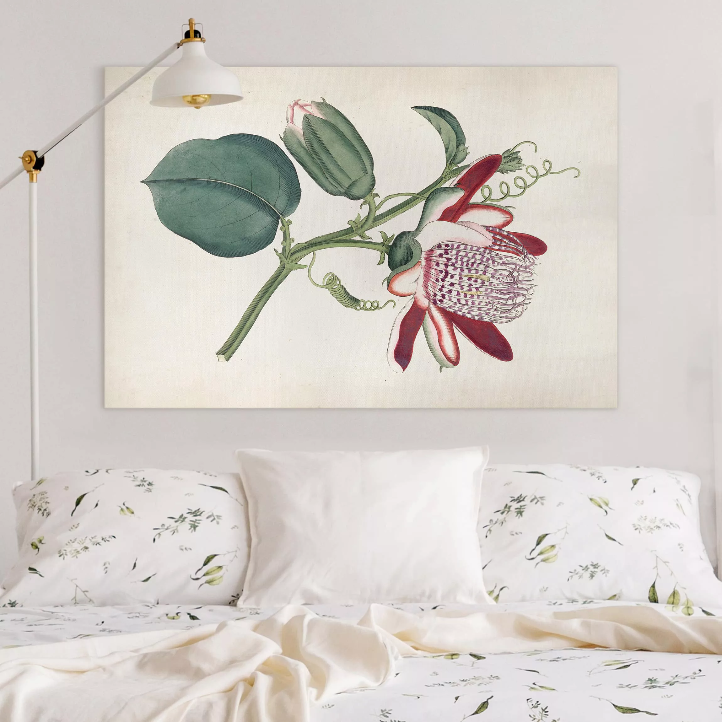 Leinwandbild Blumen - Querformat Gartenschönheit IV günstig online kaufen