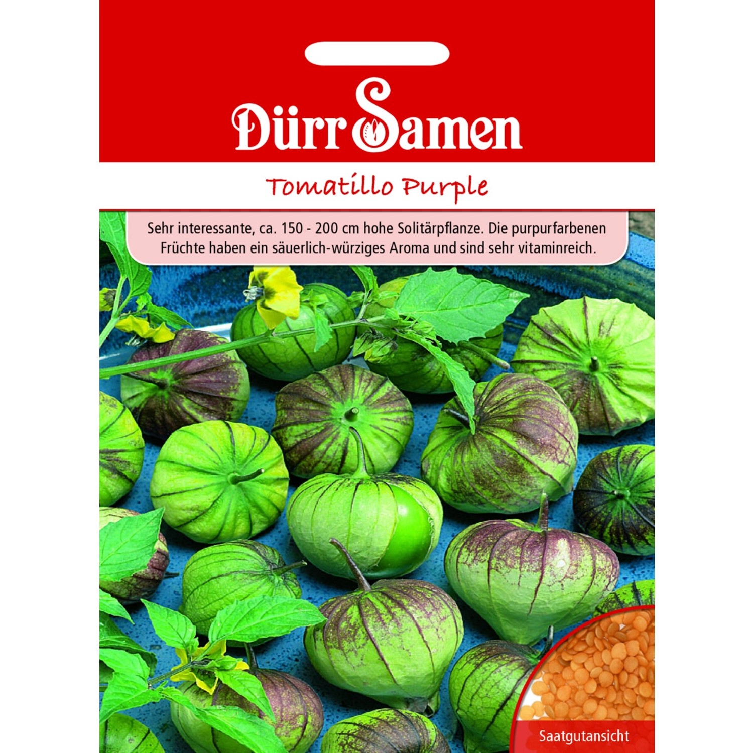 Dürr Samen Tomatillo Purple Saatgut günstig online kaufen