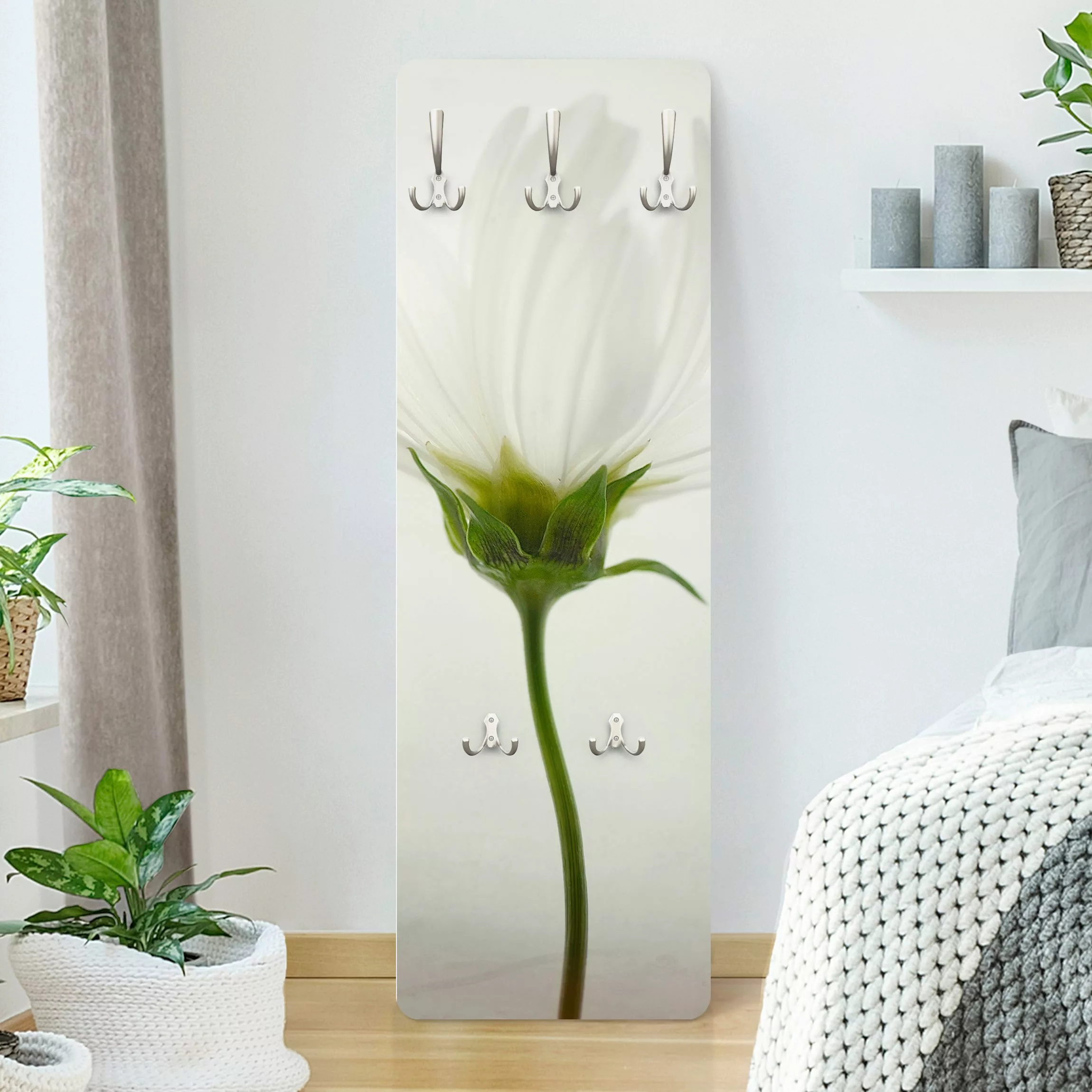 Wandgarderobe Holzpaneel Blumen Weiße Cosmea günstig online kaufen
