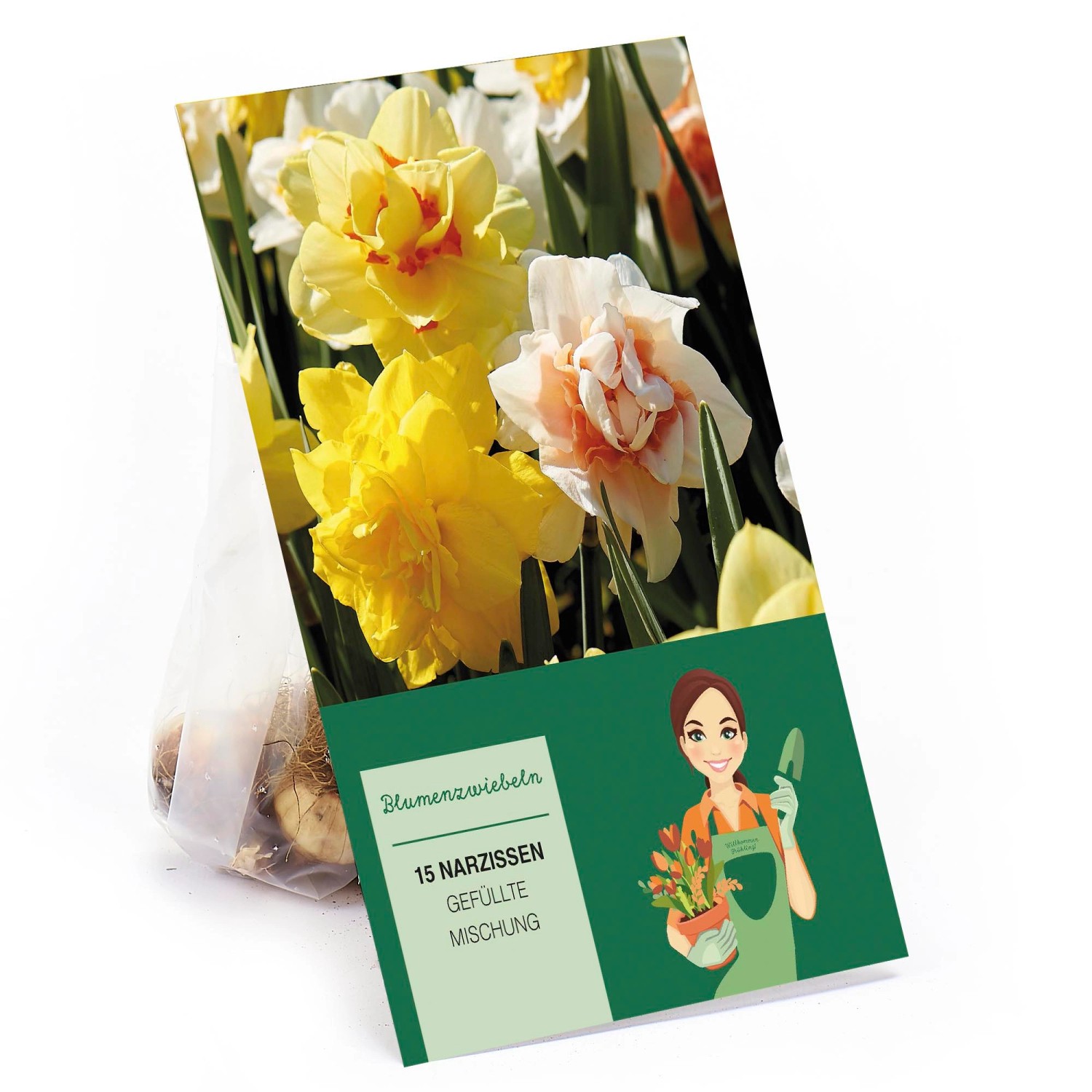 Narzissen GefüllteMischung 15 Stück Narcissus double Mixed günstig online kaufen