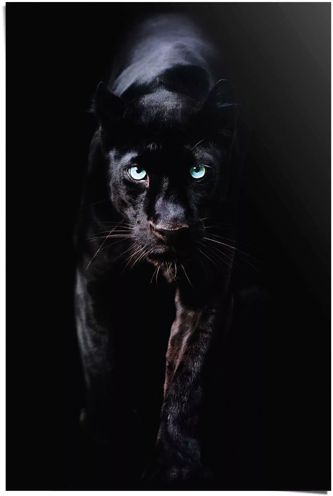 Reinders Poster "Poster Schwarzer Panther", Tiere, (1 St.) günstig online kaufen