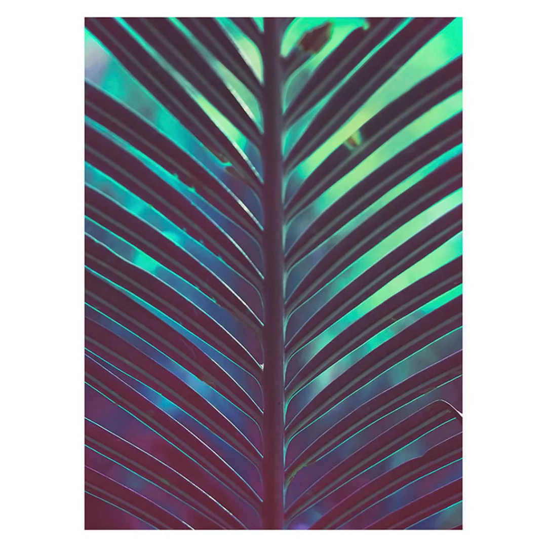 Komar Wandbild Hide Palmenblätter B/L: ca. 30x40 cm günstig online kaufen