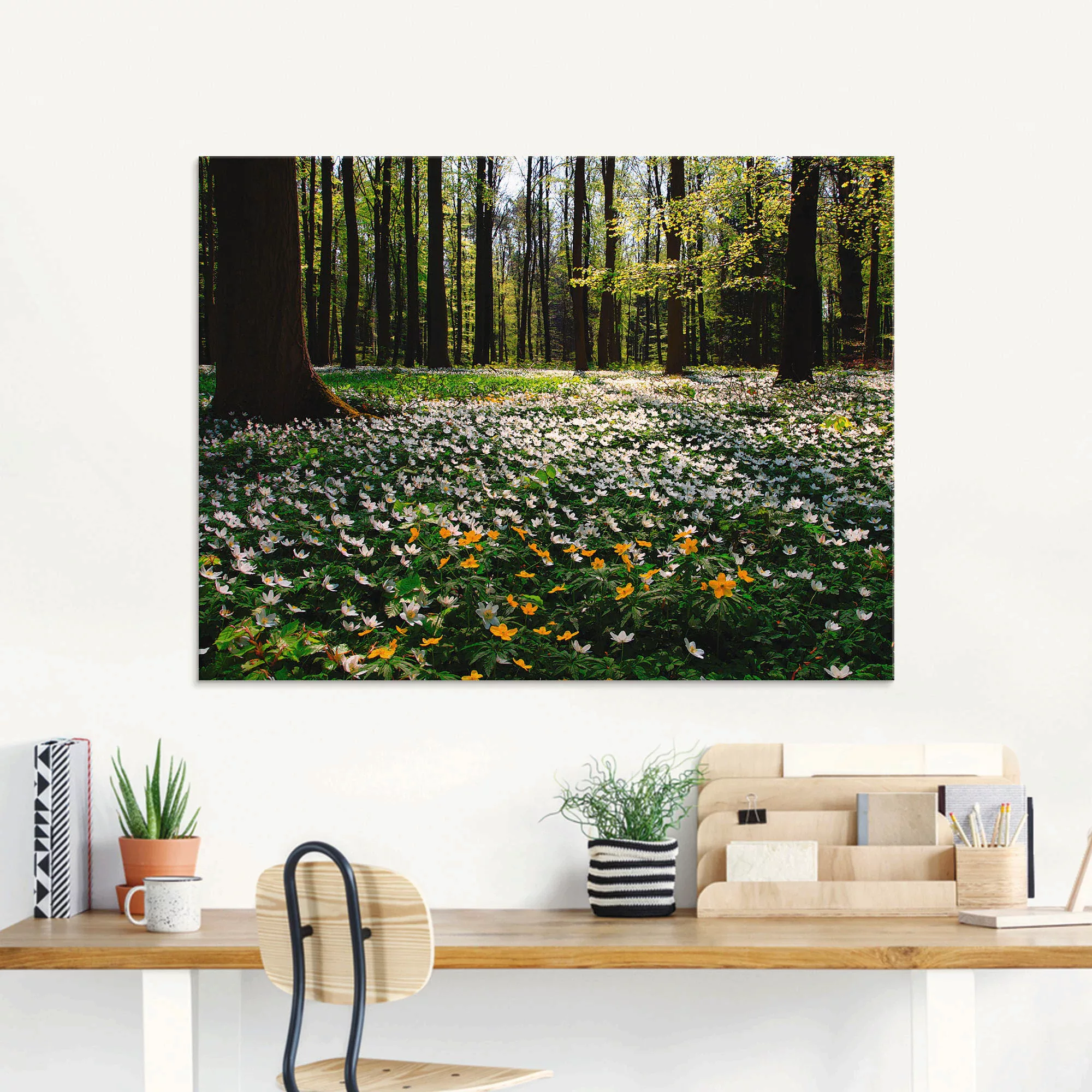 Artland Glasbild "Frühlingswald bedeckt mit Windröschen", Wald, (1 St.) günstig online kaufen