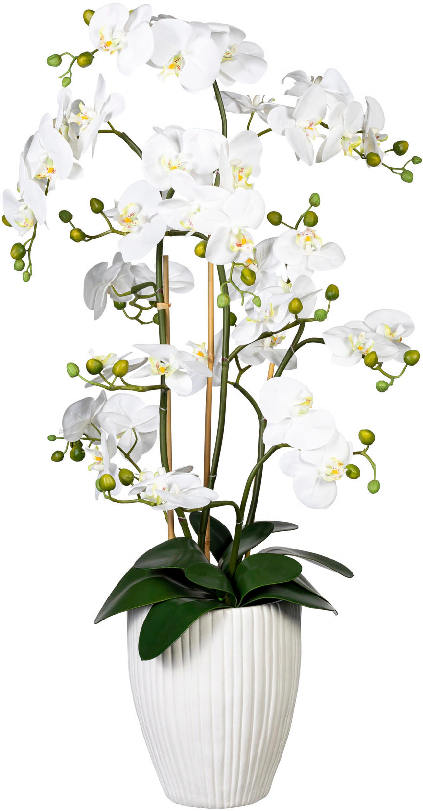 Creativ green Kunstorchidee "Deko-Orchidee Phalaenopsis XL im Keramiktopf" günstig online kaufen