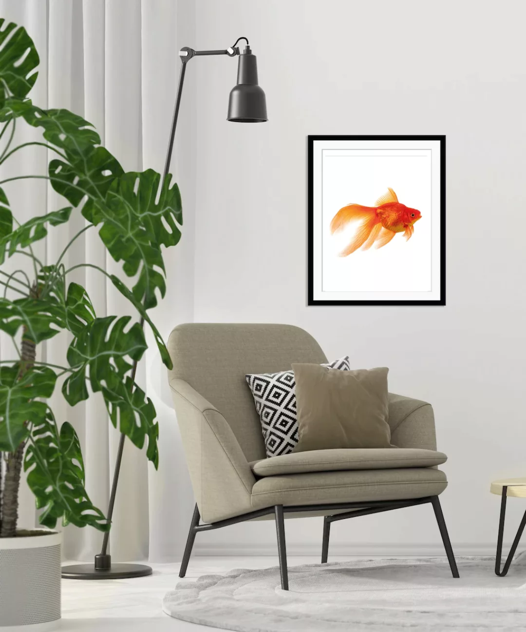 queence Bild »Goldi«, Fisch & Meeresfrüchte-Kunst-Humor, HD Premium Poster- günstig online kaufen