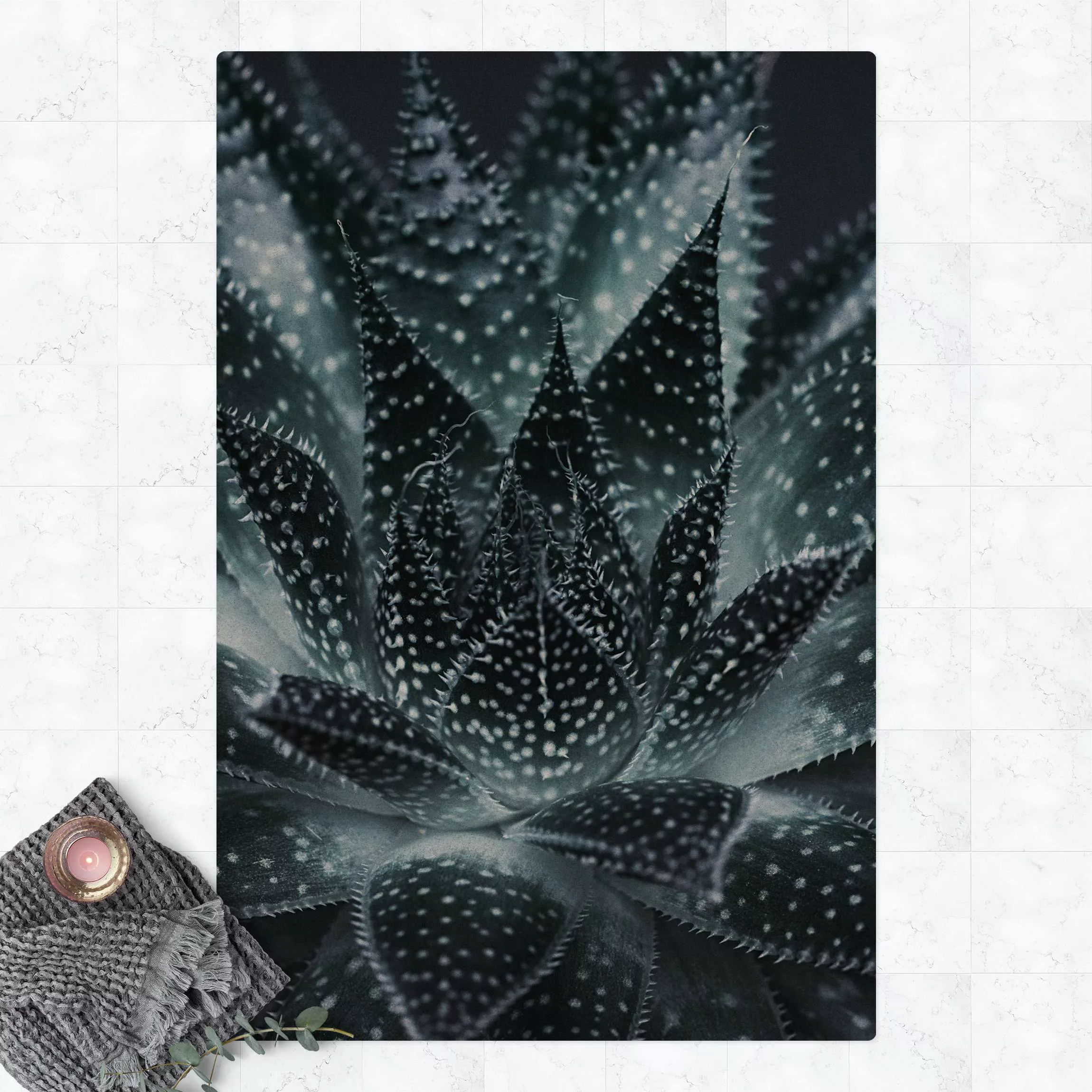 Kork-Teppich Kaktus mit Sternpunkten bei Nacht günstig online kaufen