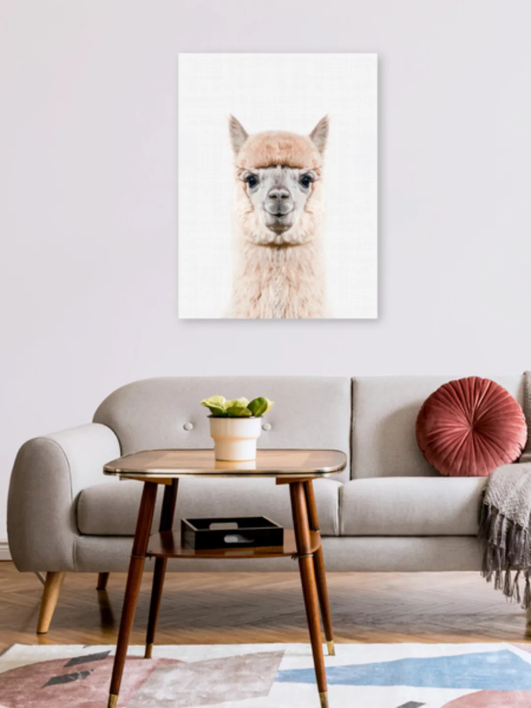 Poster / Leinwandbild - Alpaca günstig online kaufen