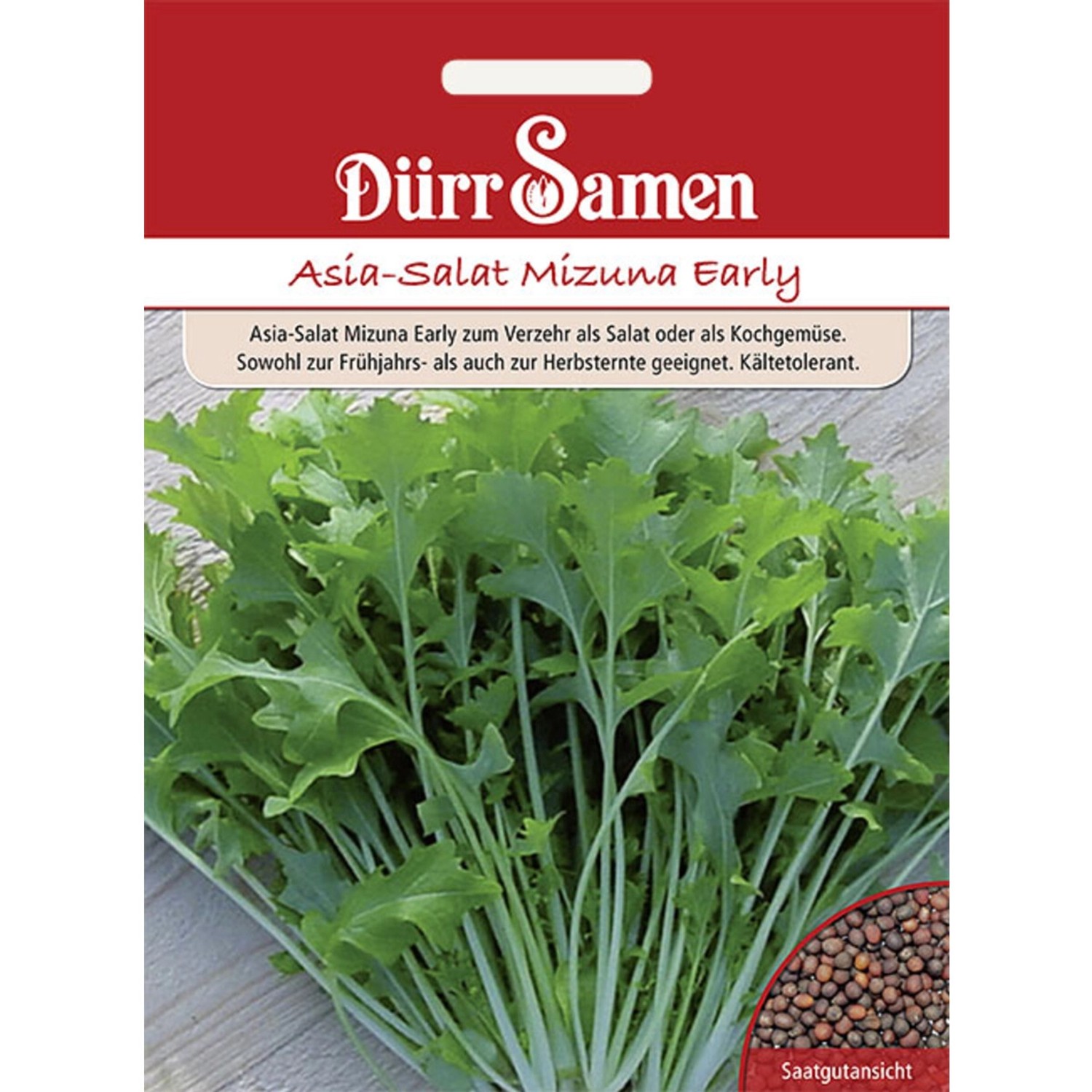 Dürr Samen Asia-Salat Mizuna Early Saatgut günstig online kaufen