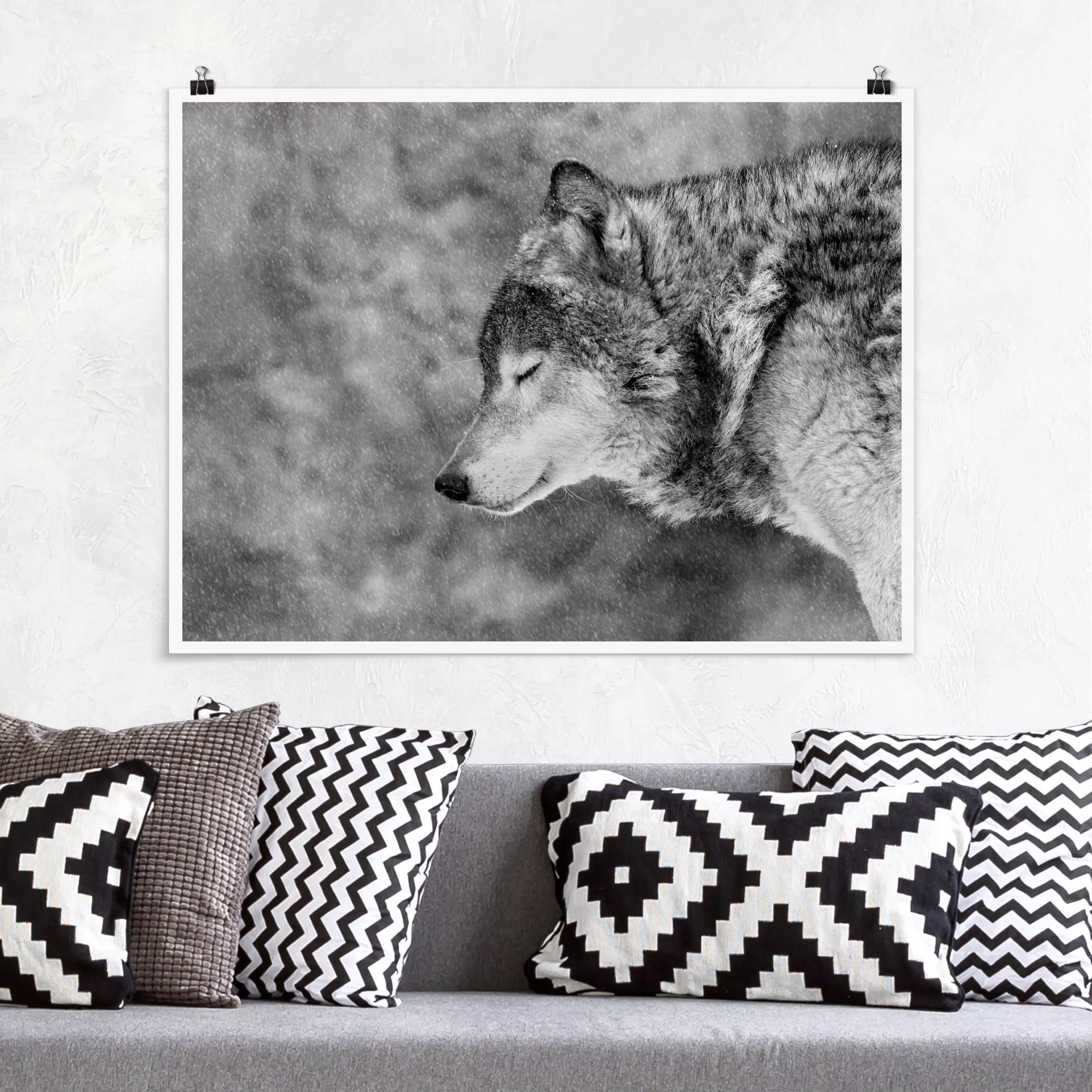 Poster Tiere - Querformat Winter Wolf günstig online kaufen