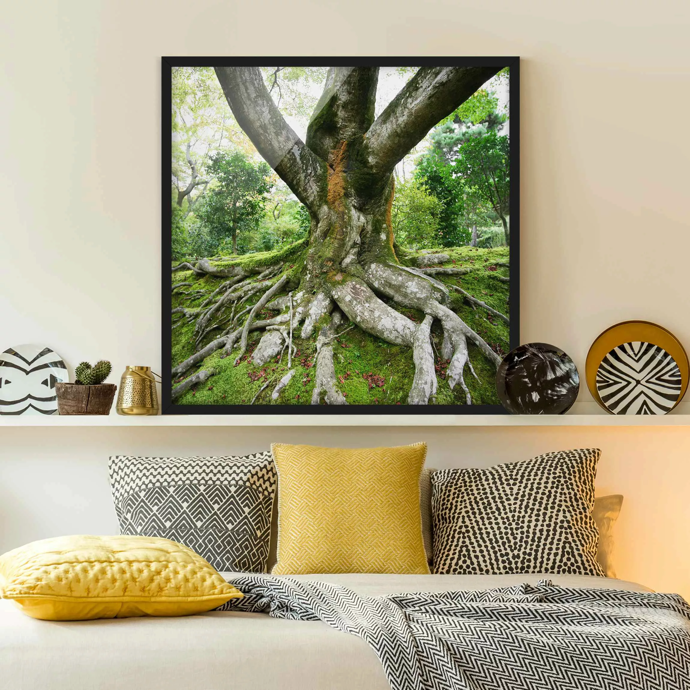 Bild mit Rahmen Natur & Landschaft - Quadrat Alter Baum günstig online kaufen