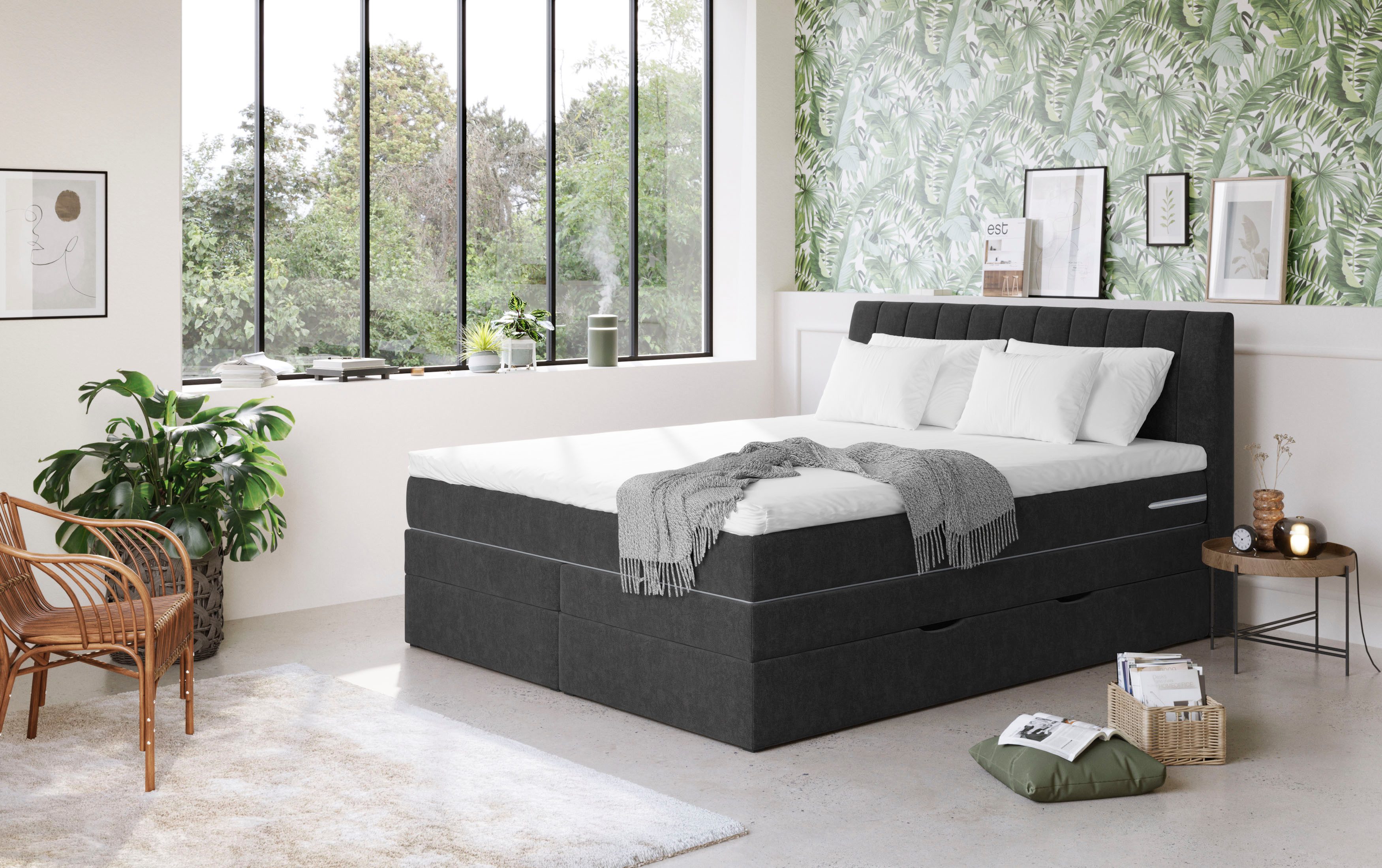 COTTA Boxspringbett "Shark inkl. Bettkasten und Topper", erhältlich in den günstig online kaufen