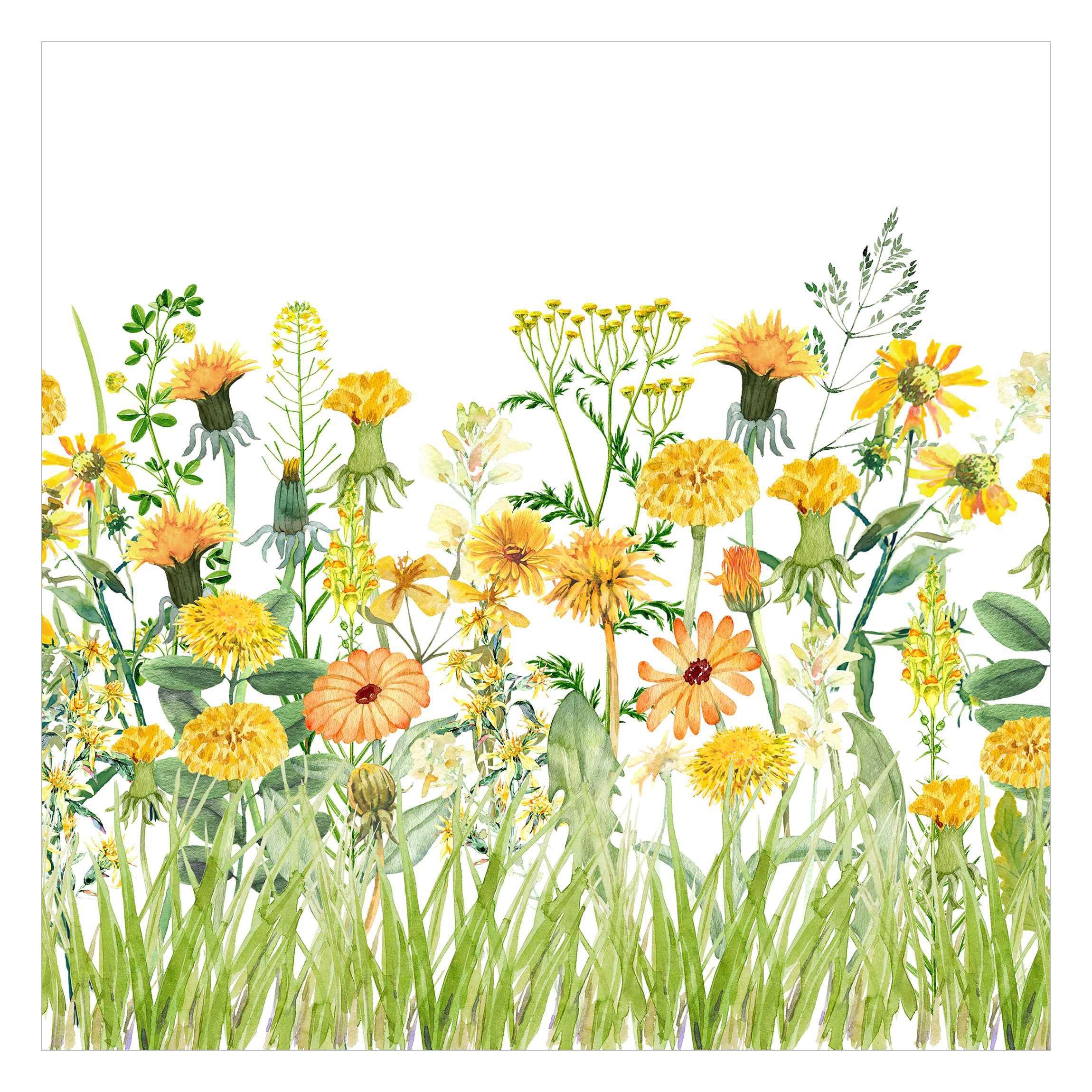 Bilderdepot24 Fototapete Blumen Aquarell Blumenwiese Gelb günstig online kaufen