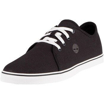 Timberland  Sneaker Skape Park Oxford Canvas-Turnschuhe günstig online kaufen