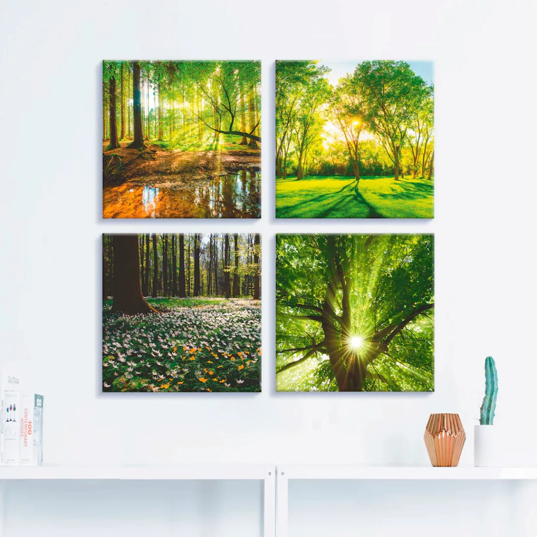 Artland Leinwandbild "Wald Bach Frühling Windrosen Sonne Baum", Wald, (4 St günstig online kaufen