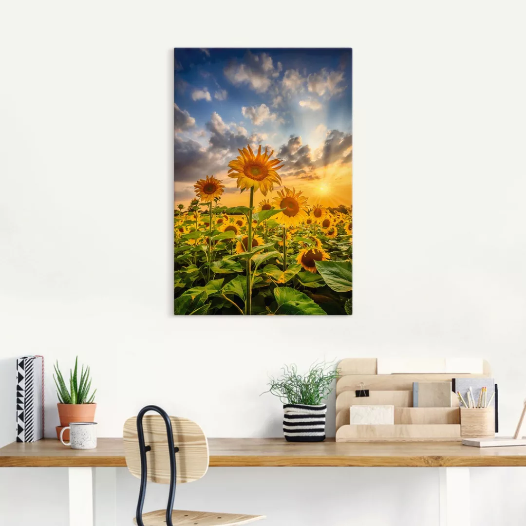 Artland Wandbild "Sonnenblumen im Sonnenuntergang", Blumenbilder, (1 St.) günstig online kaufen