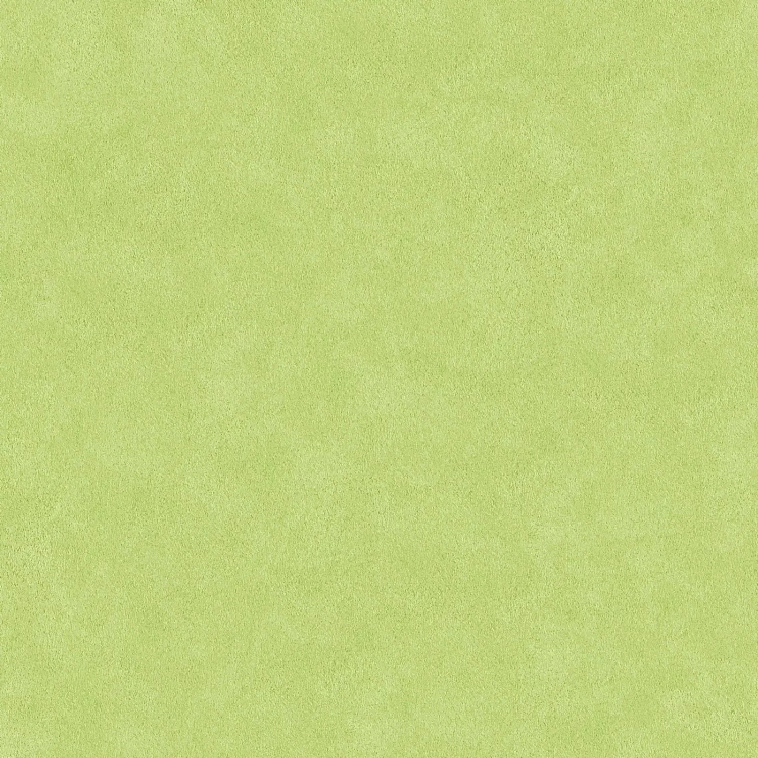 Bricoflor Grüne Tapete im Uni Stil Einfarbige Vliestapete in Hellgrün Schli günstig online kaufen