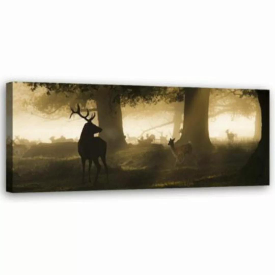 FEEBY® Kunst Hirsch im Nebel Leinwandbilder bunt Gr. 120 x 40 günstig online kaufen