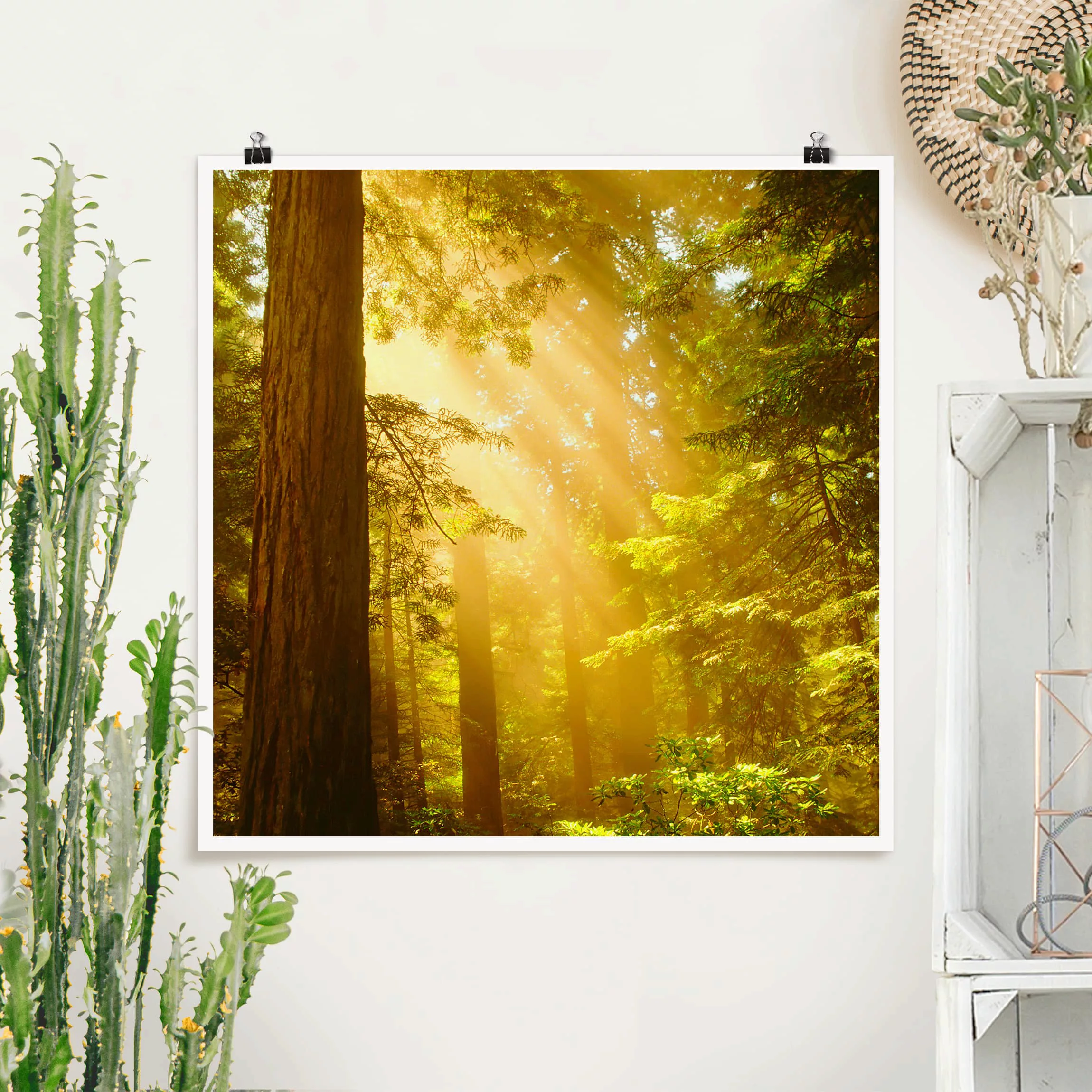 Poster Natur & Landschaft - Quadrat Morgengold günstig online kaufen