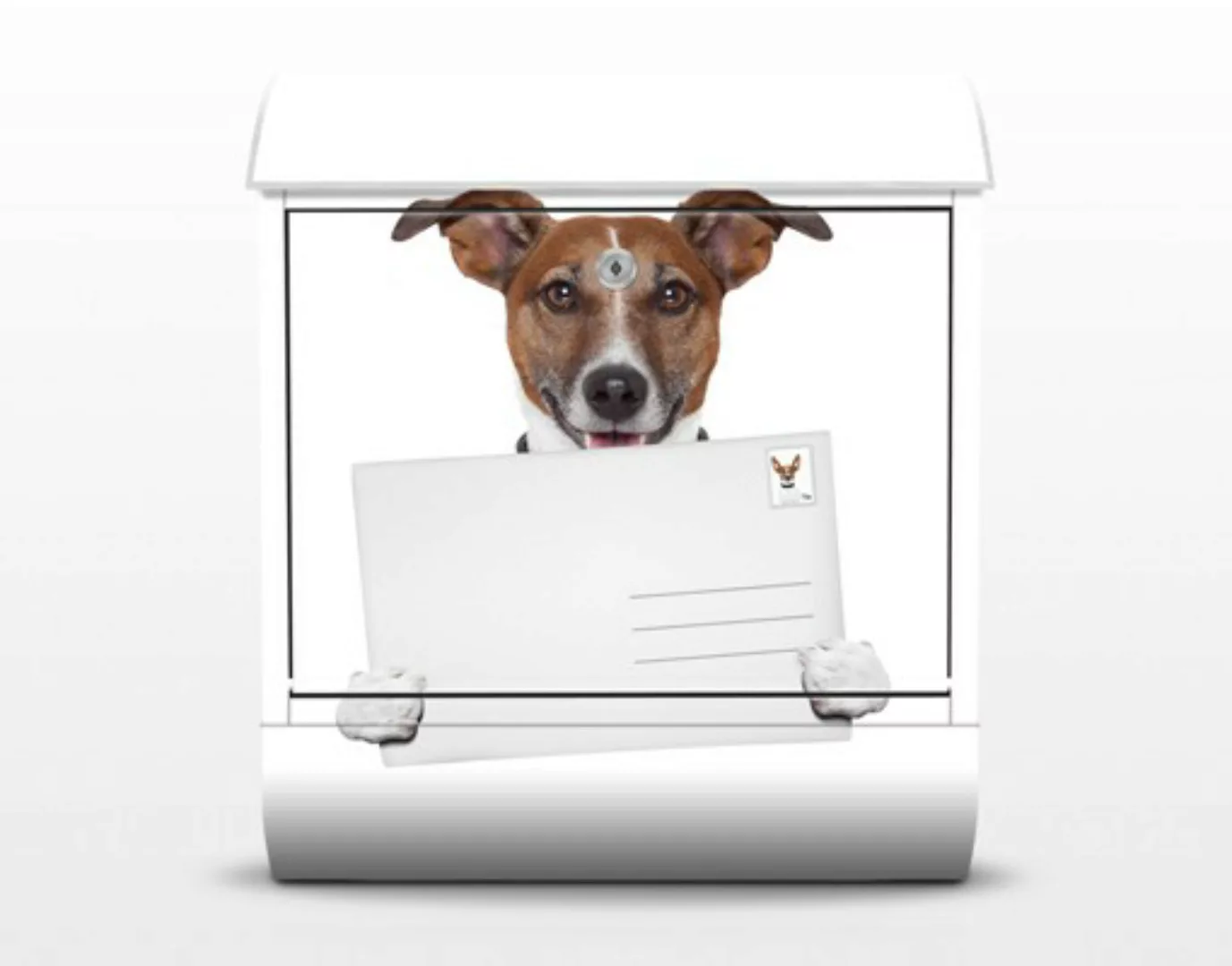 Briefkasten Tiere Hund mit Brief günstig online kaufen