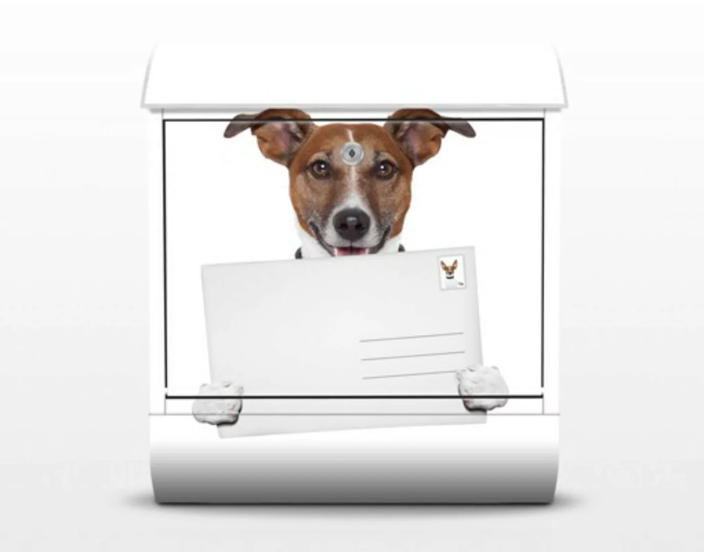 Briefkasten Hund mit Brief günstig online kaufen