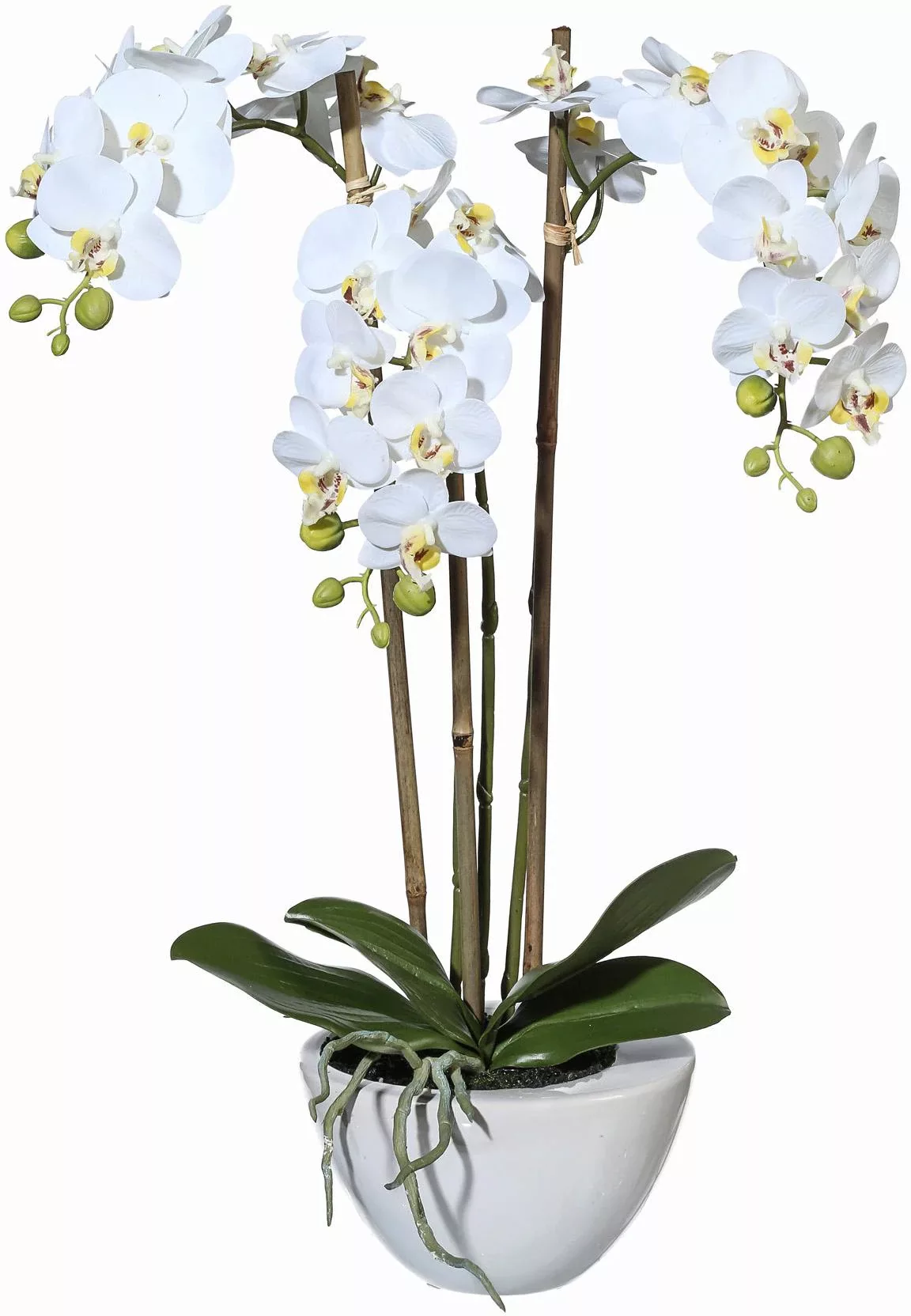 Creativ green Kunstpflanze "Mini Orchidee" günstig online kaufen