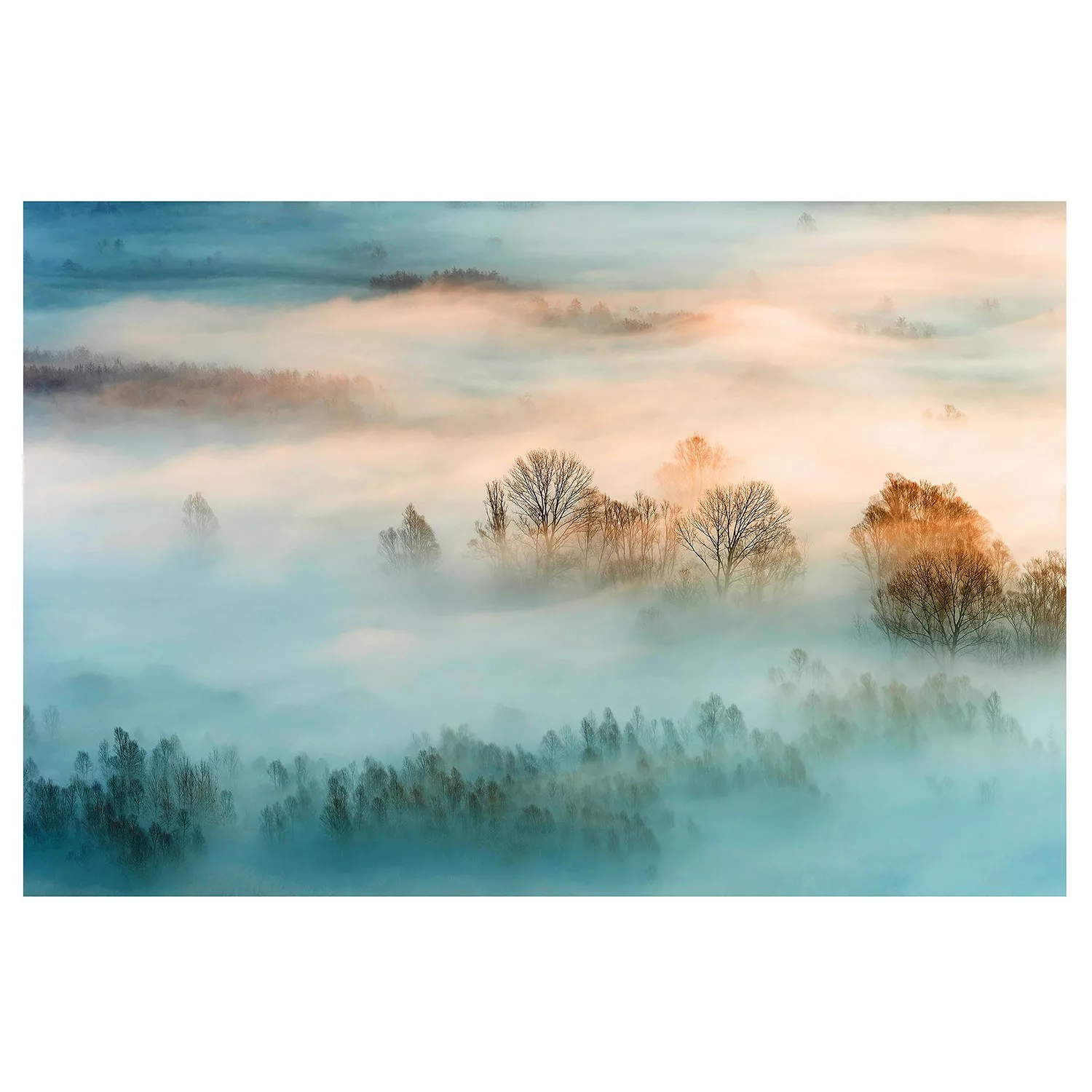 Bilderwelten Vliestapete Nebel bei Sonnenaufgang creme Gr. 432 x 290 günstig online kaufen
