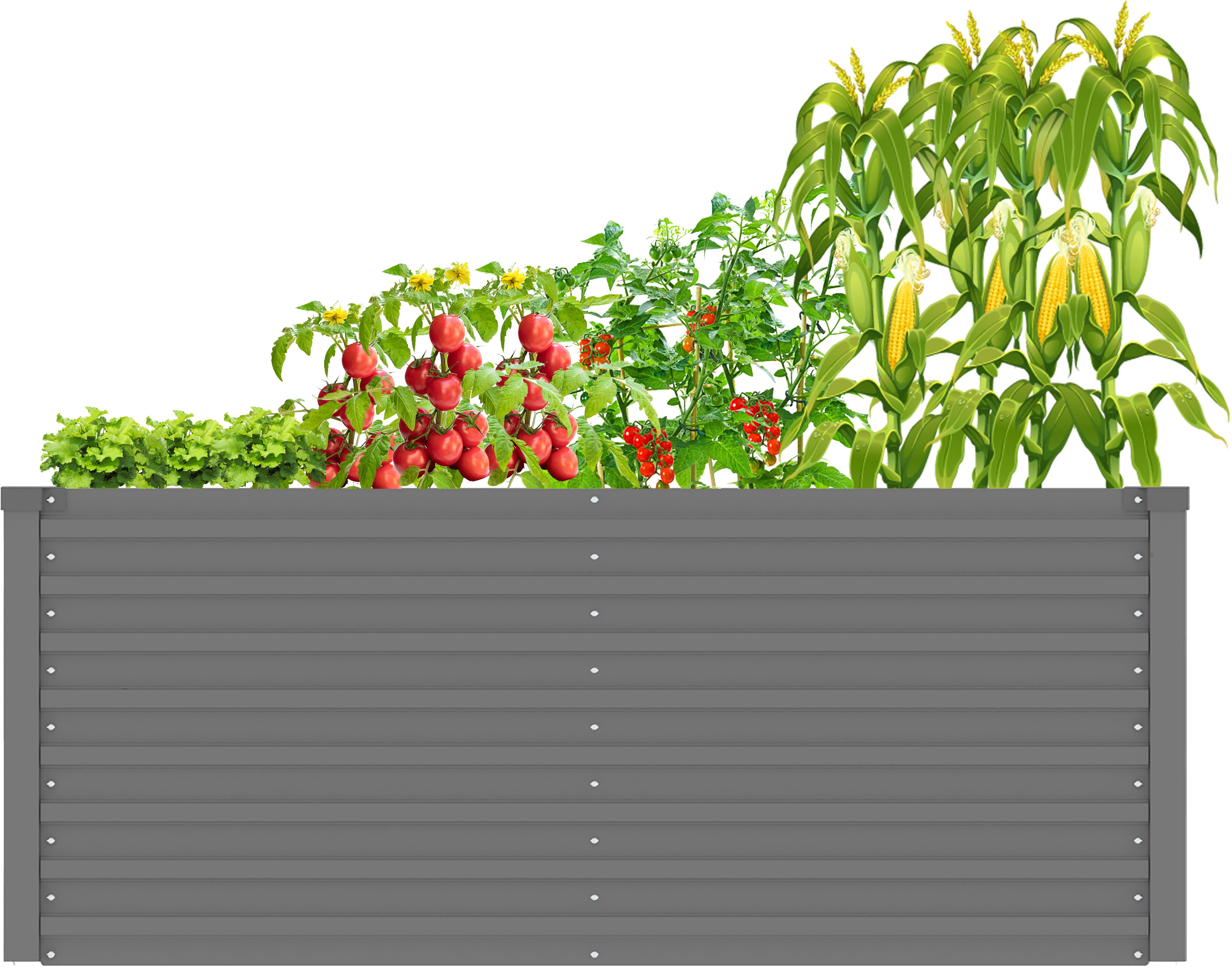 KONIFERA Hochbeet "Emmy, bodenloses Gartenbeet aus verzinktem Stahl", mit V günstig online kaufen