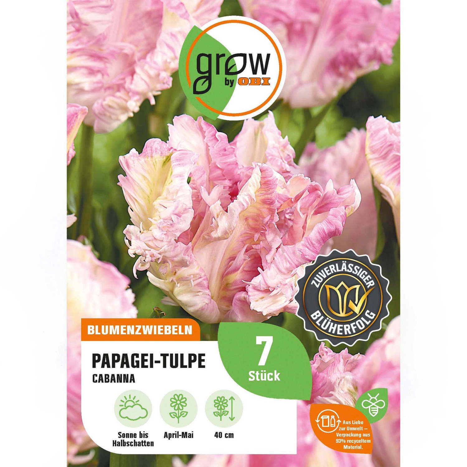 GROW by OBI Papagei-Tulpe  Cabanna Rosa 7 Stück Tulipa parrot Cabanna günstig online kaufen
