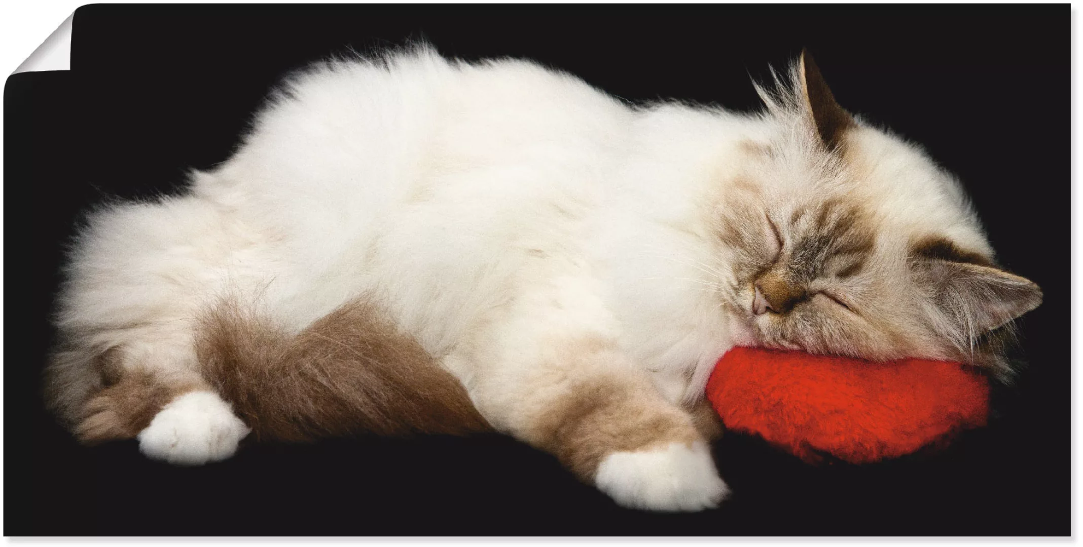 Artland Wandbild "Müde Katze", Haustiere, (1 St.), als Leinwandbild, Poster günstig online kaufen